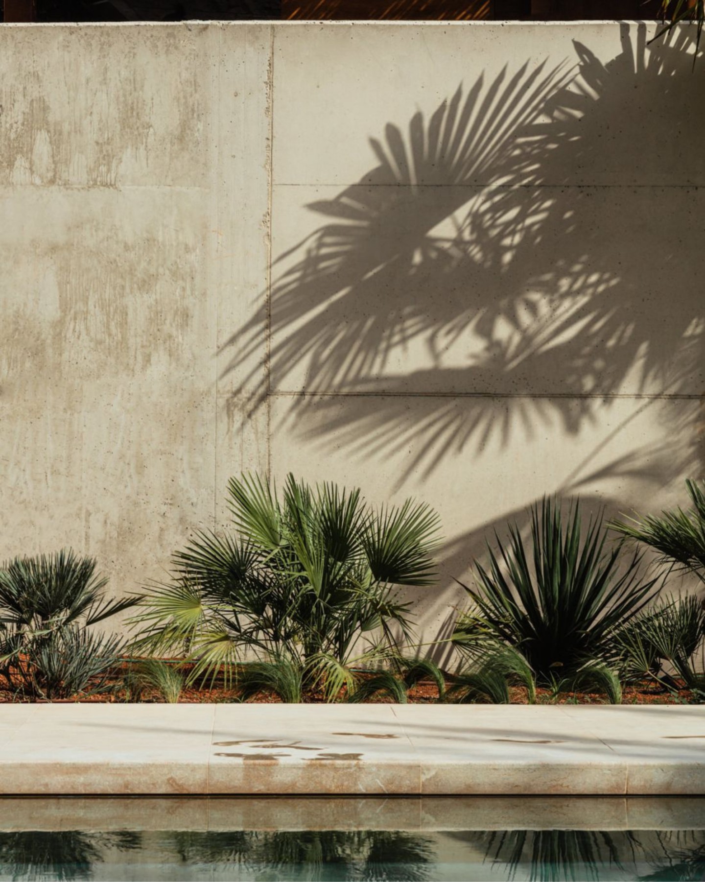 Not just designed, but aligned.
Nature leads here — not as decoration, but as foundation.
Light, air, and greenery move freely, shaping every space.
Nothing forces attention. Everything feels natural, unhurried, human. 🌿
#ZAYA #DesignPhilosophy #BiophilicDesign #HumanCentricDesign #DesignWithNature #PlaceMaking #SustainableDesign #BuiltEnvironment