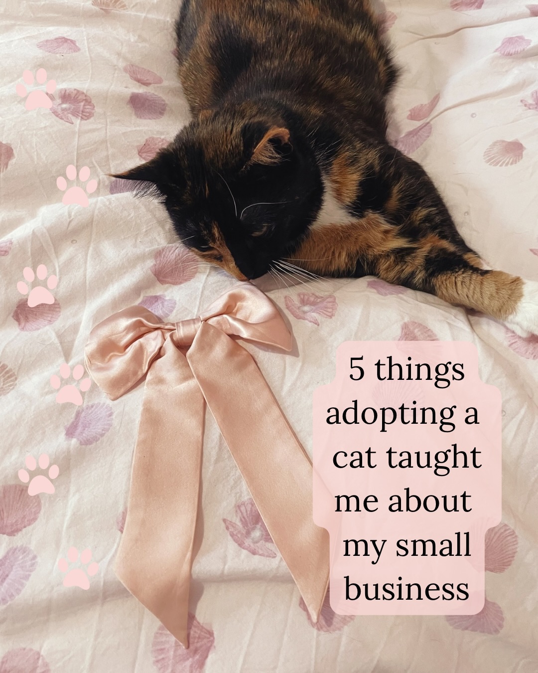 5 Things Adopting a Cat Taught Me About My Small Business
Only kidding, this isn’t LinkedIn! I just wanted to introduce you to Maisie because just look at her.
We adopted Maisie a couple of months ago and she has settled in well already. She loves a morning snuggle and asking for uppies. And she is a firm believer in naps and a bit of self care of course!
Image description- 1. A tortoisehell cat called Maisie on a bed sniffing a pink silk hair bow
2. Jo, a white woman in her mid thirties, drinking a glass of wine with Maisie on her
3. Maisie next to the pink silk bow again
4. A close up of Maisie with wide eyes
5. Jo with Maisie on her again
6. Raff, a half Italian man in his mid thirties, with Maisie on his shoulder
7. Maisie yawning on a bed next to a pink silk eye mask
All images have text from the above caption added on top
