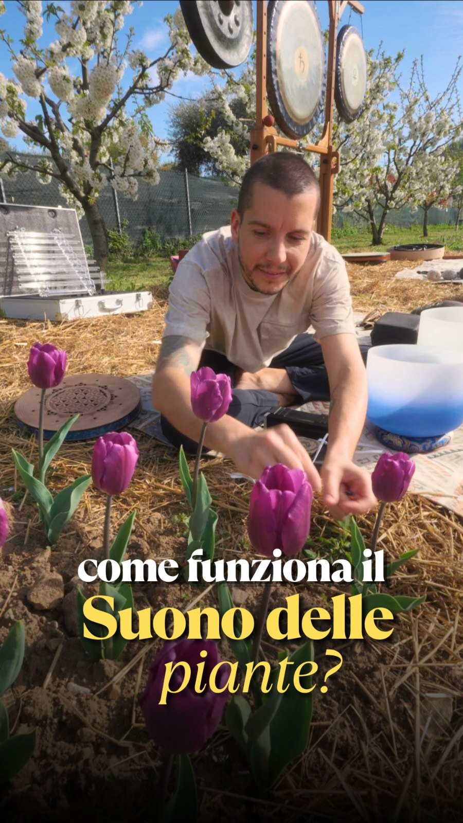 Come suonano davvero le piante? 🌿
In tanti me l’avete chiesto dal video precedente… qui vi spiego tutto.
#filippopigaiani #bagnodisuoni #campanetibetane #suonoterapia #handpanmusic