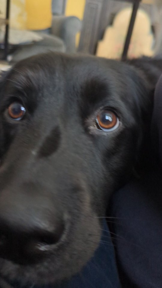 The look of a girl who knows what she wants and how to get it...
