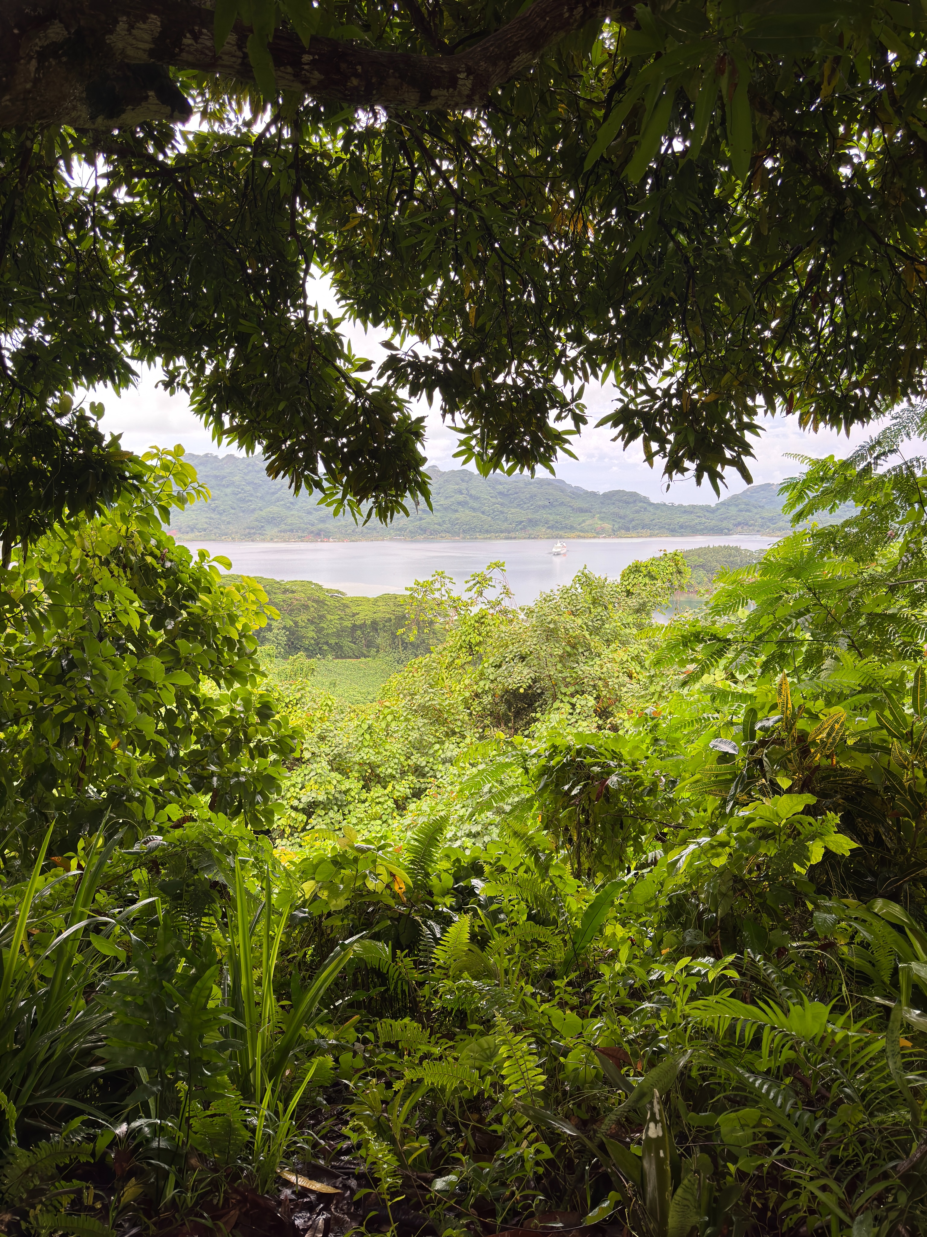 Direction Huahine, “l’authentique” ou encore l’île de la femme, juste après la découverte de Moorea.
Une île qui a un charme, ou un mana, bien particulier ! Elle est bien plus sauvage d’ailleurs que les autres !
🏝️ On a la chance de dormir dans un super logement sur la plage, chez une famille polynésienne qui nous a fait des dîners incroyables.
Au programme sur cette île (visite avec le célèbre Henri !): découverte des anguilles aux yeux bleus, visite des pièges à poisson, les marae, la maison de la vanille, confection d’un paréo avec ma maman ! 🌺