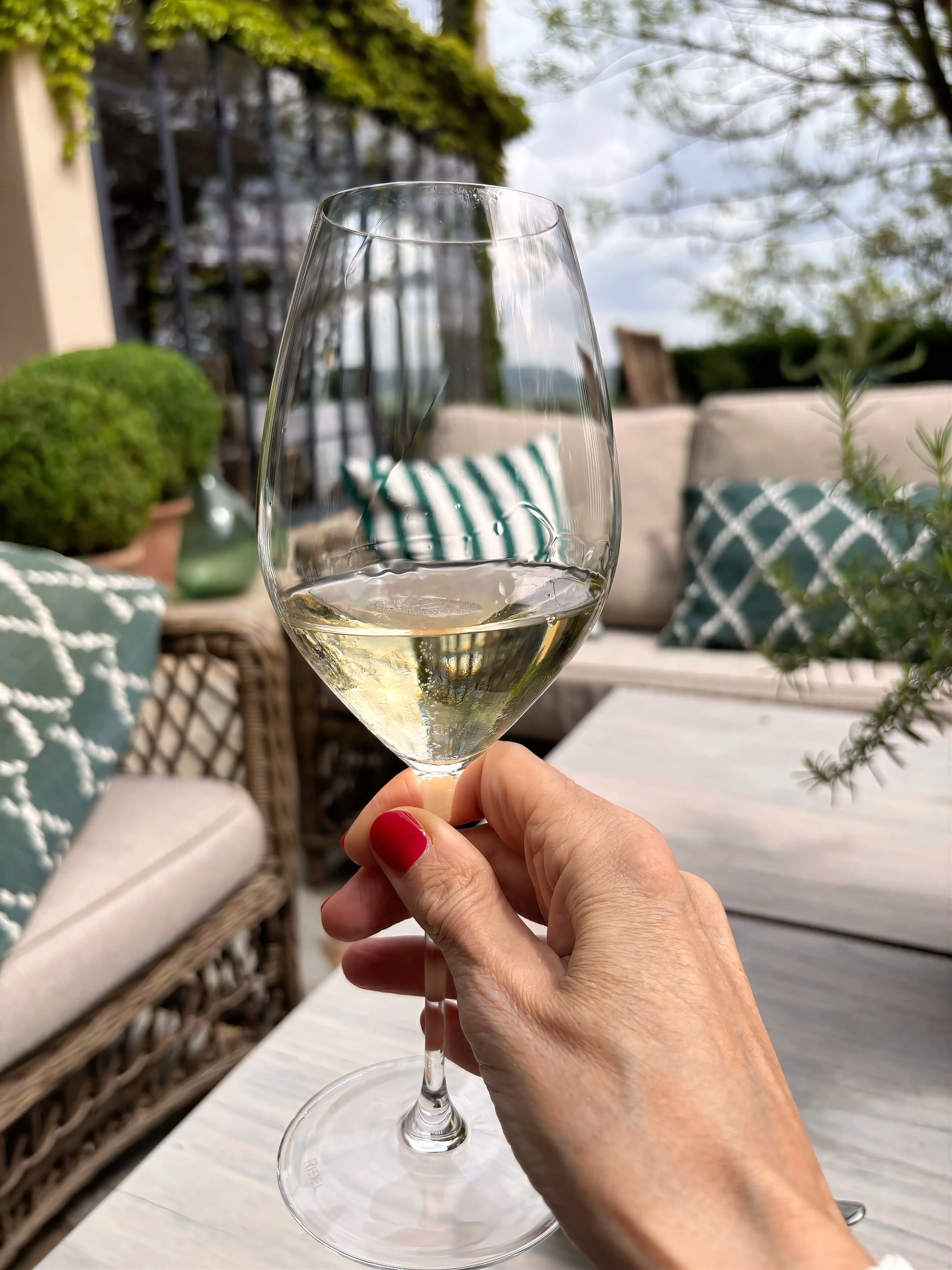 For us, spring begins with Arneis.
Crisp, elegant, quietly expressive… the perfect companion to simple food and slow afternoons.
This is the moment we wait for all winter.
Benvenuta primavera 🤍
To order from our cellar to your door click on the link below in comments 👇
.
.
#piemontewine #spring #italy #italianwine #italianfood