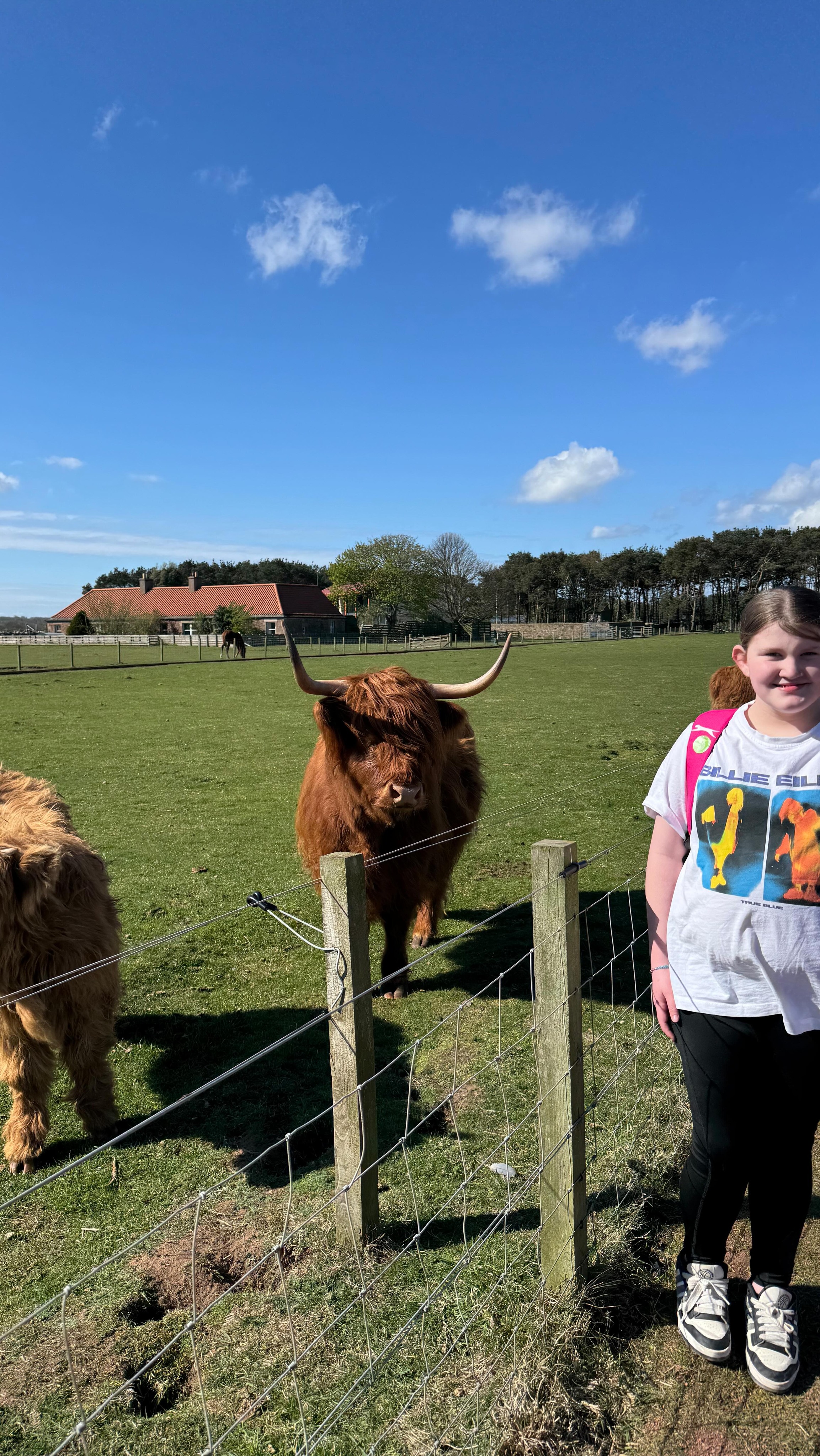 Fab day at @eastlinksfamilypark with our wonderful ZAP group ☀️🐷🐴🐄🐑🦙🫏🌾