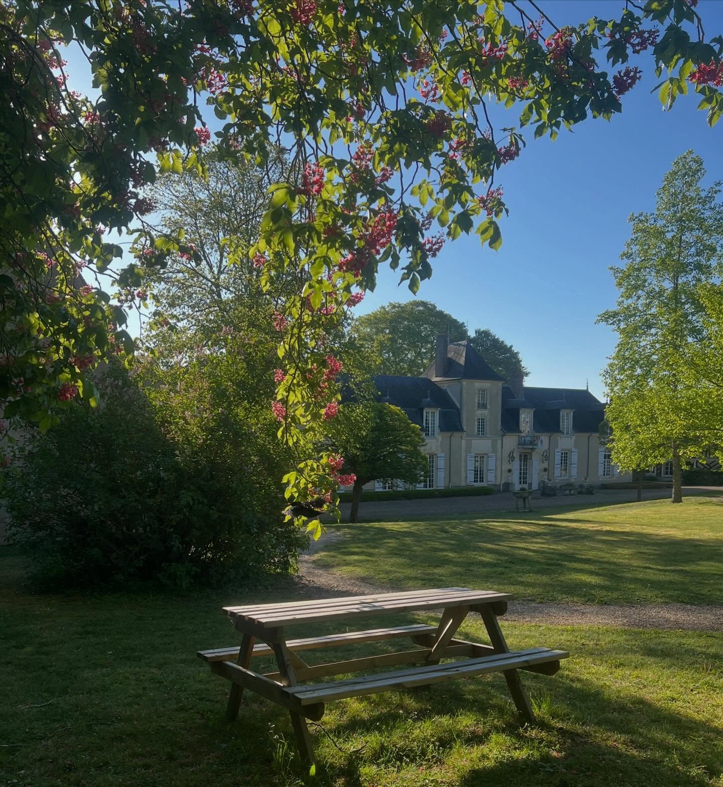 Pique-niquez dans le parc pour profiter du soleil ☀️
