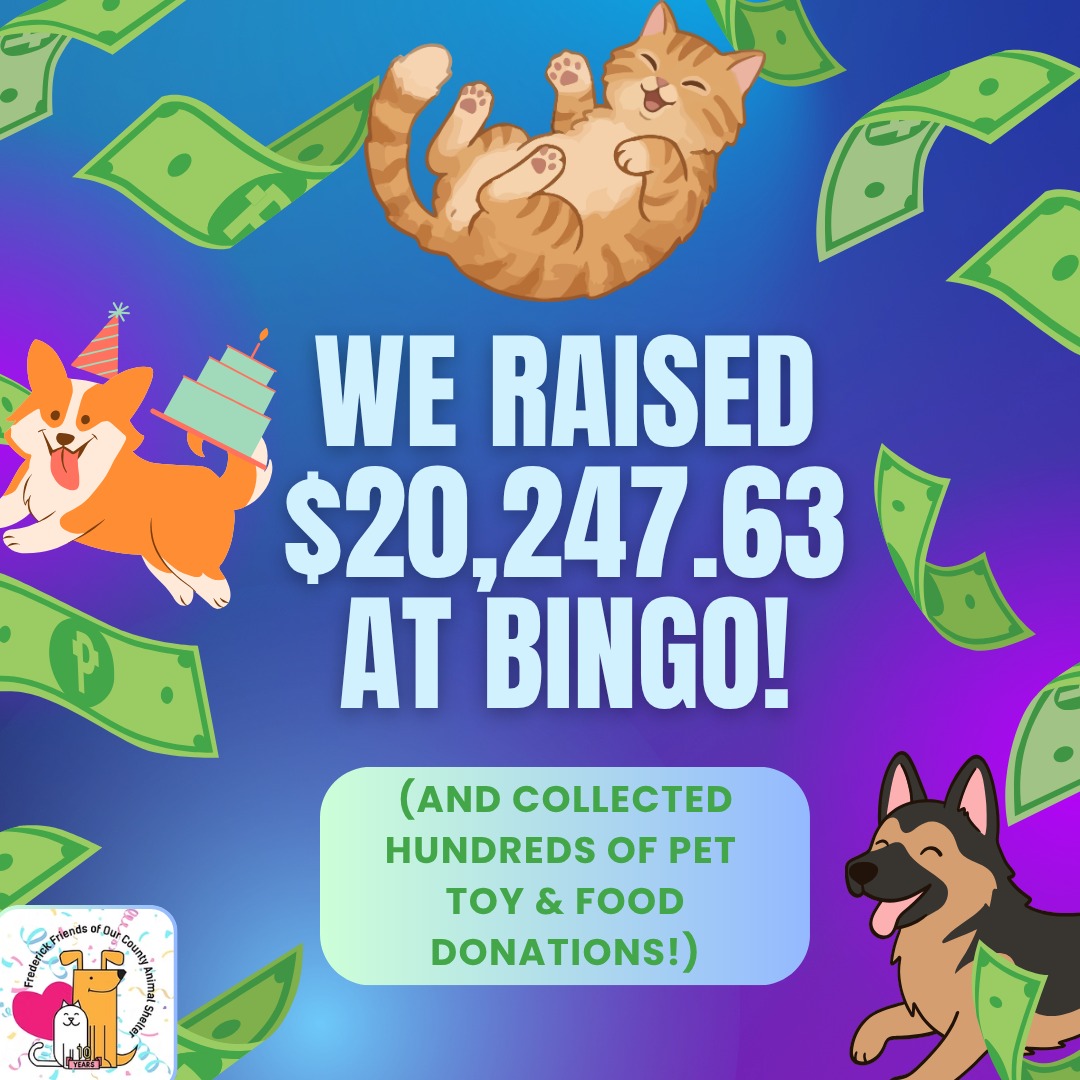 Thank you SO much to all of our sponsors, bingo guests, donors, and volunteers who helped us reach this incredible total! We will be able to help SO many pets at @fredcoanimalshelter and in the community with this money! We hope you had fun! We appreciate the continued support of our loyal Frederick community.
#pets #homelesspets #bingototals #thankyou #frederickmd #sponsors #grateful #fundraisertotal #bigmoney #success @goodmorningfrederick @fetchthriftshop @tlcbridal @middletownvetclinic @campbowwowfrederickmd @barncatbuds @iamaking0323 @thebeautycompanysalonspa @morganbuildersllc @harthomesolutions @klinesdogwalking @doodycallsfrederick @daleclabaugh.sf @dogfriendlyfrederick