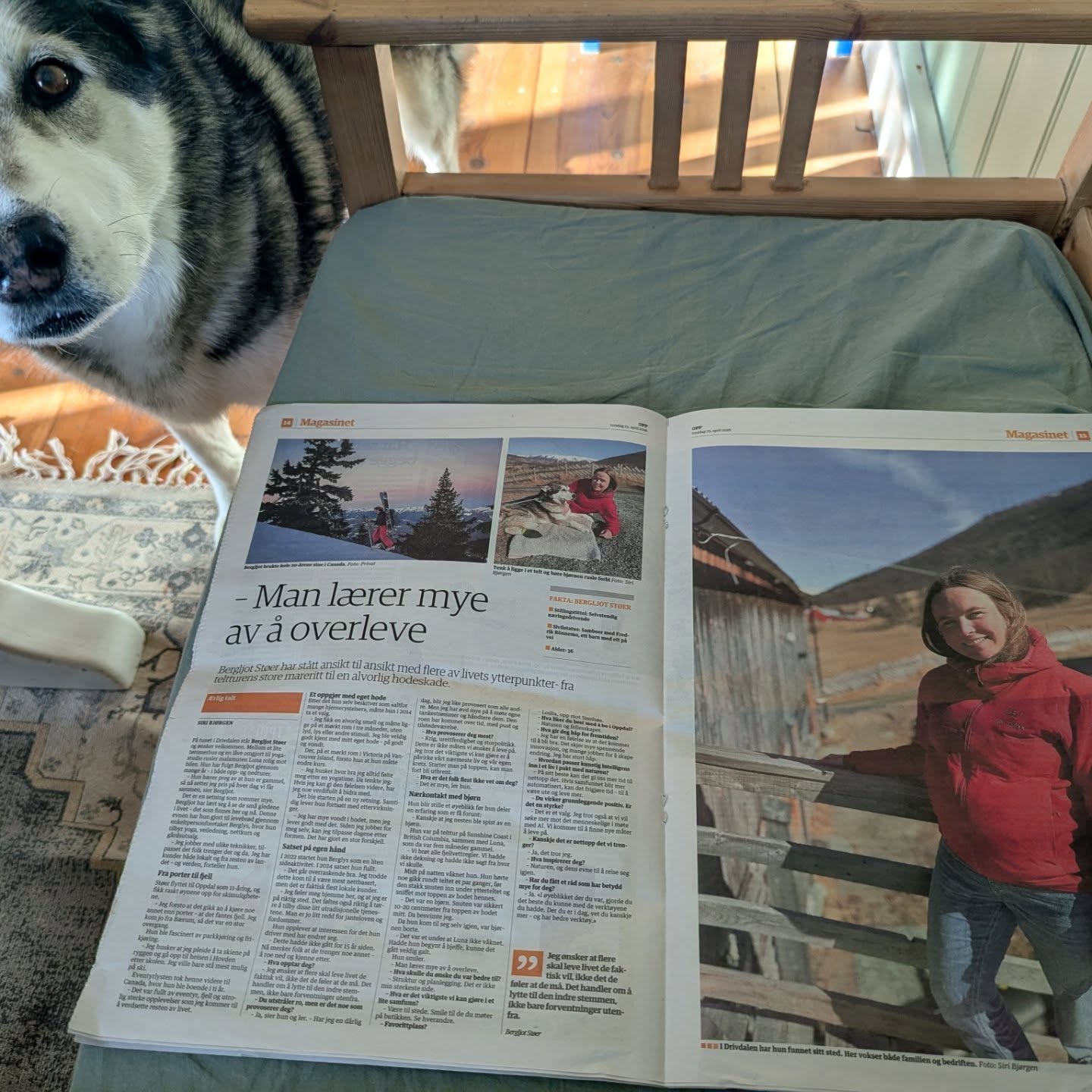 Så gøy å få en artikkel i lokalavisa @avisaopp i dag🥰 Journalist Siri Bjørgen er så utrolig flink til å formidle!
I den anledning tenkte jeg å introdusere meg selv og litt mer av bakgrunnen min, for de av dere som er nysgjerrige på tiden min i Canada.
1. Jeg flyttet til BC som 19-åring for å kombinere Universitet med skikjøring❄️ (studerte Business Administration og etterhvert Economics)
2. Naturen i BC har det beste fra alle verdener - skog, fjell, hav og gode temperaturer for utendørs eventyr året rundt
3. Jeg var heldig å bli kjent med en flink skifotograf som tok meg med på masse eventyr!
4. Jeg tok et kurs i Reiki í 2014 og ble yogainstruktør i 2015 - det alternative miljøet i BC var rikt og spennende
5. Krystaller ble fort en fascinasjon (jeg hadde aldri drømt om å etterhvert få æren av å videreformidle de selv, slik jeg i dag får gjennom @_.berglyskrystaller._ )
6. Jeg jobbet i et firma i Victoria som drev med hvalsafari
7. Svartbjørn var nesten like vanlig å se slik vi her i Norge ser elg eller rådyr. Grizzly (og puma) var heldigvis mye skjeldnere, men så dem begge en to-tre ganger hver
8. Jeg bodde i Kamloops, Victoria, Whistler, Revelstoke, Vancouver og Nanaimo-området. Antall ganger jeg flyttet mellom og i dem har jeg mistet tallet på!
9. Yndlingsstedene mine var China Beach og East Sooke Park på Vancouver Island, Salt Spring Island, Mt Cain, Revelstoke samt the Sunshine Coast🌿
10. Flere av jobbene og sertifikatene mine inkluderer "certified dog walker", frivillighetsarbeid for funksjonsnedsatte skikjørere, ansatt i en butikk som kun solgte eteriske oljer, ekspeditør i en lokal bank og et utall jobber som servitør
11. Prøv å si "Bergljot" på engelsk? Jeg er kjent som Bergy for vennene mine, etter kallenavnet Bergybee som bestevenninnen min Kari fant opp på ungdomsskolen 🫶🏼
De ti årene jeg tilbrakte i Canada vil alltid være en stor del av meg og den jeg er. Naturen vil alltid leve i hjertet mitt.
Dersom jeg noen gang blir ferdig med boken min kommer det flere detaljer om hva som ledet meg på min egen healing reise, og som gjør at jeg i dag får æren og gleden av å veilede andre💜