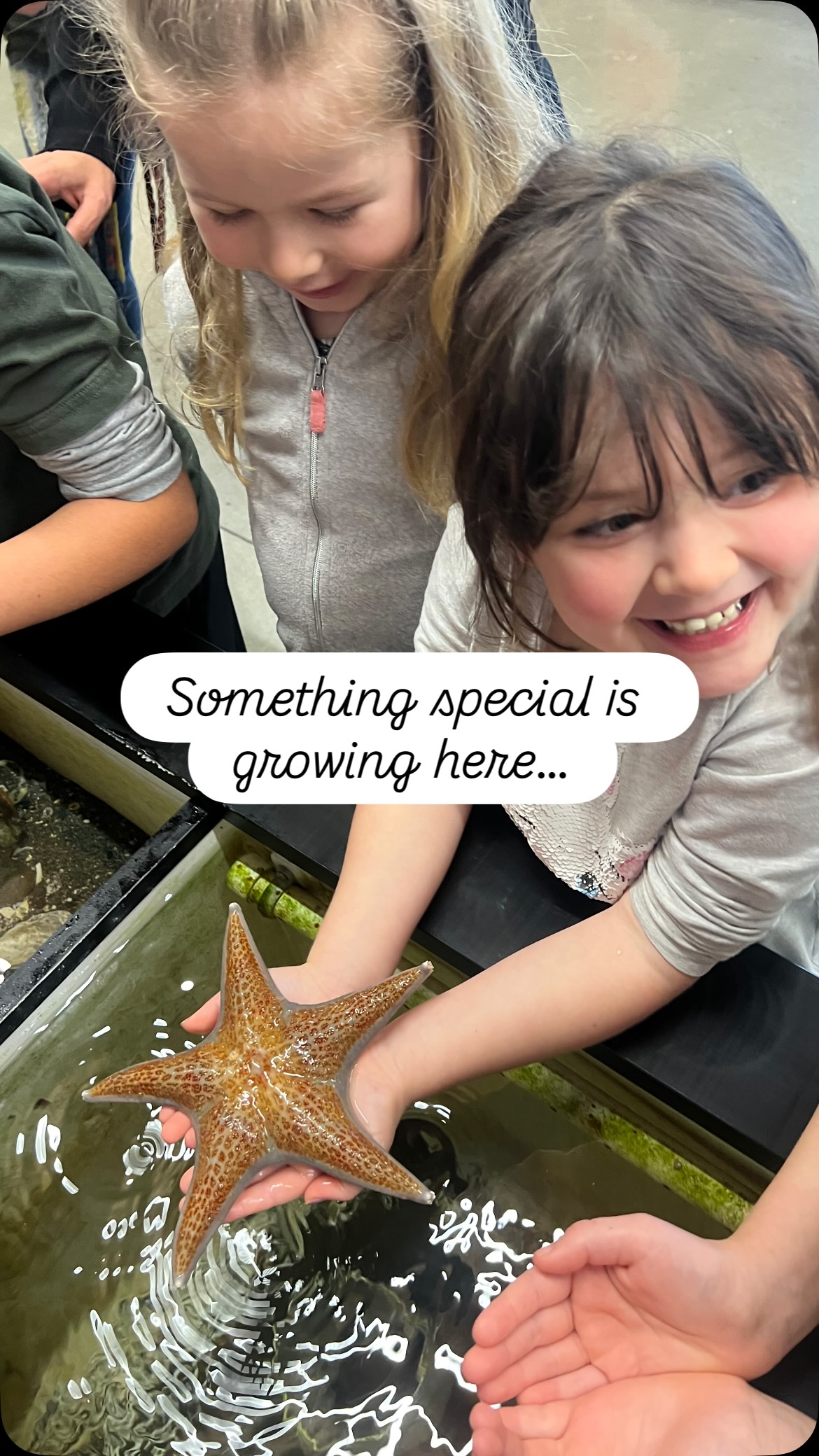 Something special is growing here, and you can feel at the moment you walk through our doors ✨
Our community is shaped by families who have chosen something different - something brave.
With 100% of our current families returning in September 2026 and new families already enrolled, we’re now nearly full ⭐️
Just two spaces remain in Discovery (ages 8-12) and only 3 in Spark (ages 5-7).
If you’ve been feeling that quiet pull towards something different for your child…this may be your moment.
Year-round enrolment is open, but these final spaces won’t last long 💫
Head to the link in bio to submit your application today!