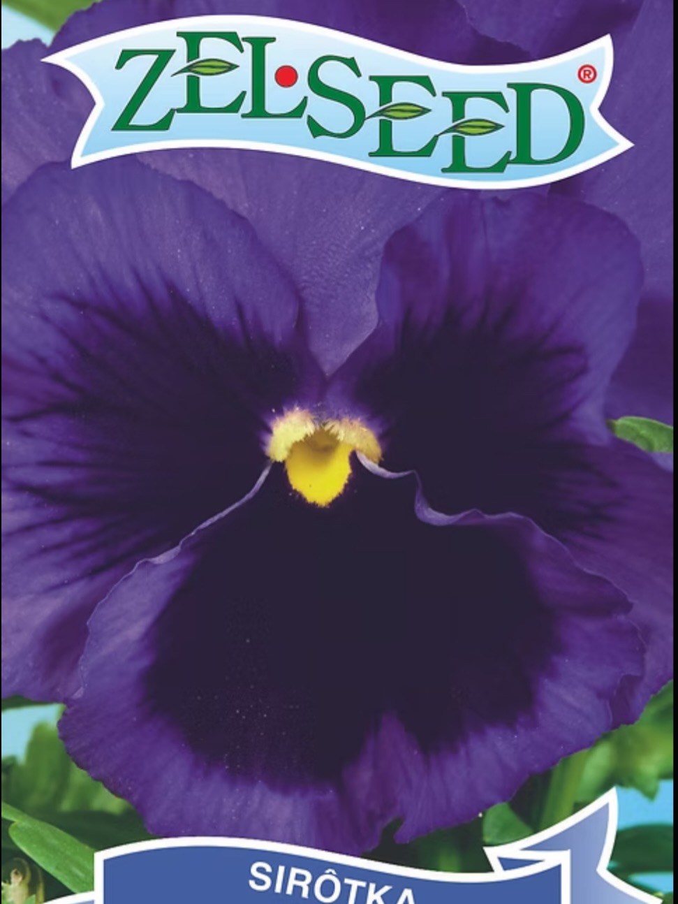Predstavujeme vám našu Sirôtku fialovú. Táto kráska je výsledkom našej starostlivej práce v Zelseed. Od výberu tých najlepších semienok až po túto nádhernú vlastnú úrodu, ktorú vidíte na fotke.
Sme hrdí na to, že vám prinášame osivá, ktoré v slovenských záhradách skutočne prosperujú. Fialová sirôtka je symbolom elegancie a odolnosti – presne taká, akú ju u nás pestujeme.
Chcete mať rovnaký výsledok aj vo vašom záhone? Nájdete ju u nás na e-shope! (Link v bio) 🌿✨
#zelseed #slovenskeosivo #sirotky #vlastnauroda #nasesemienka #zahradkarstvo #pestovanie #slovenskyprodukt