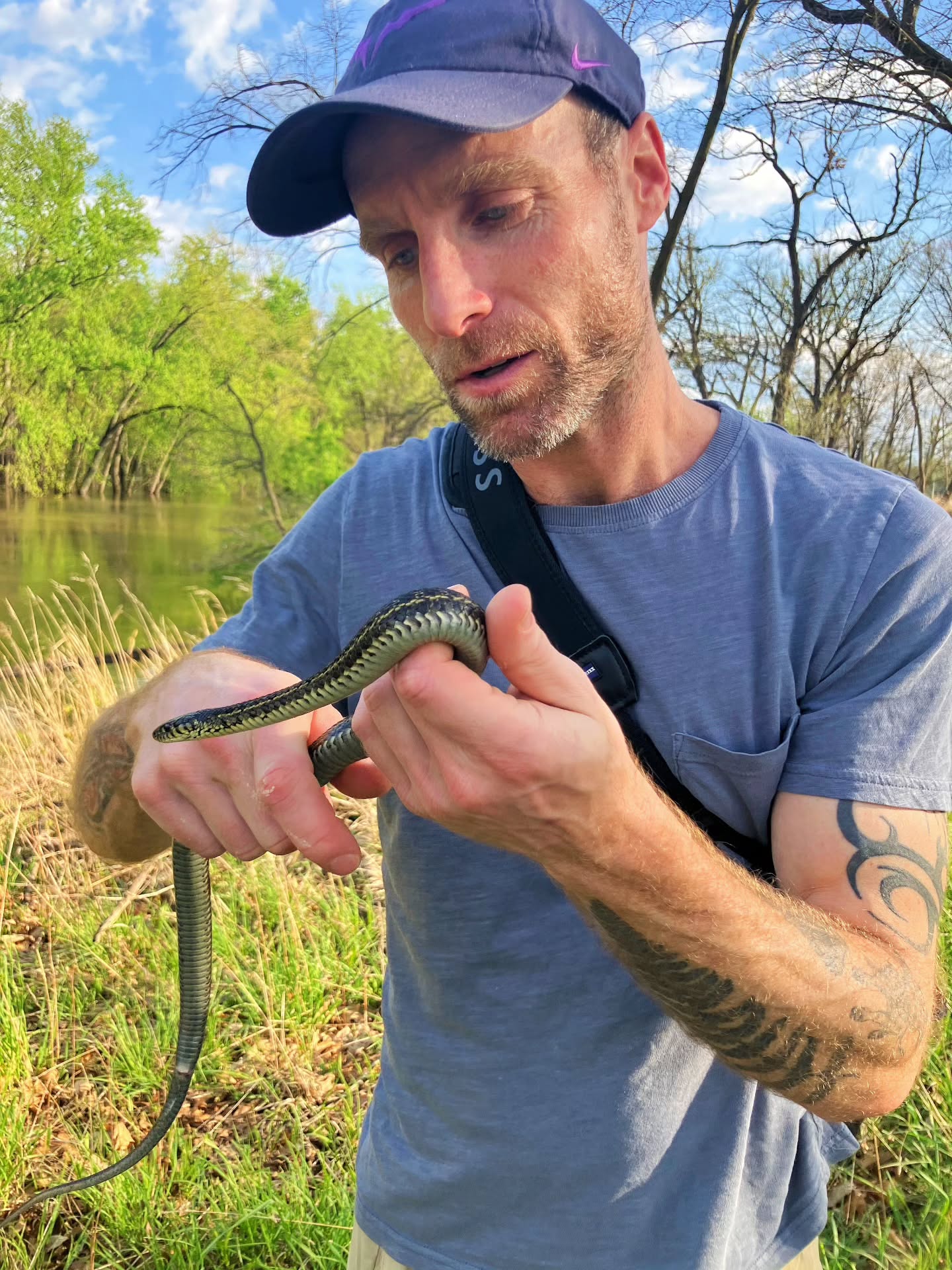 Campus has been closed due to flooding for a week. Getting out and catching snakes and teaching on zoom here and there. Peace y'all.