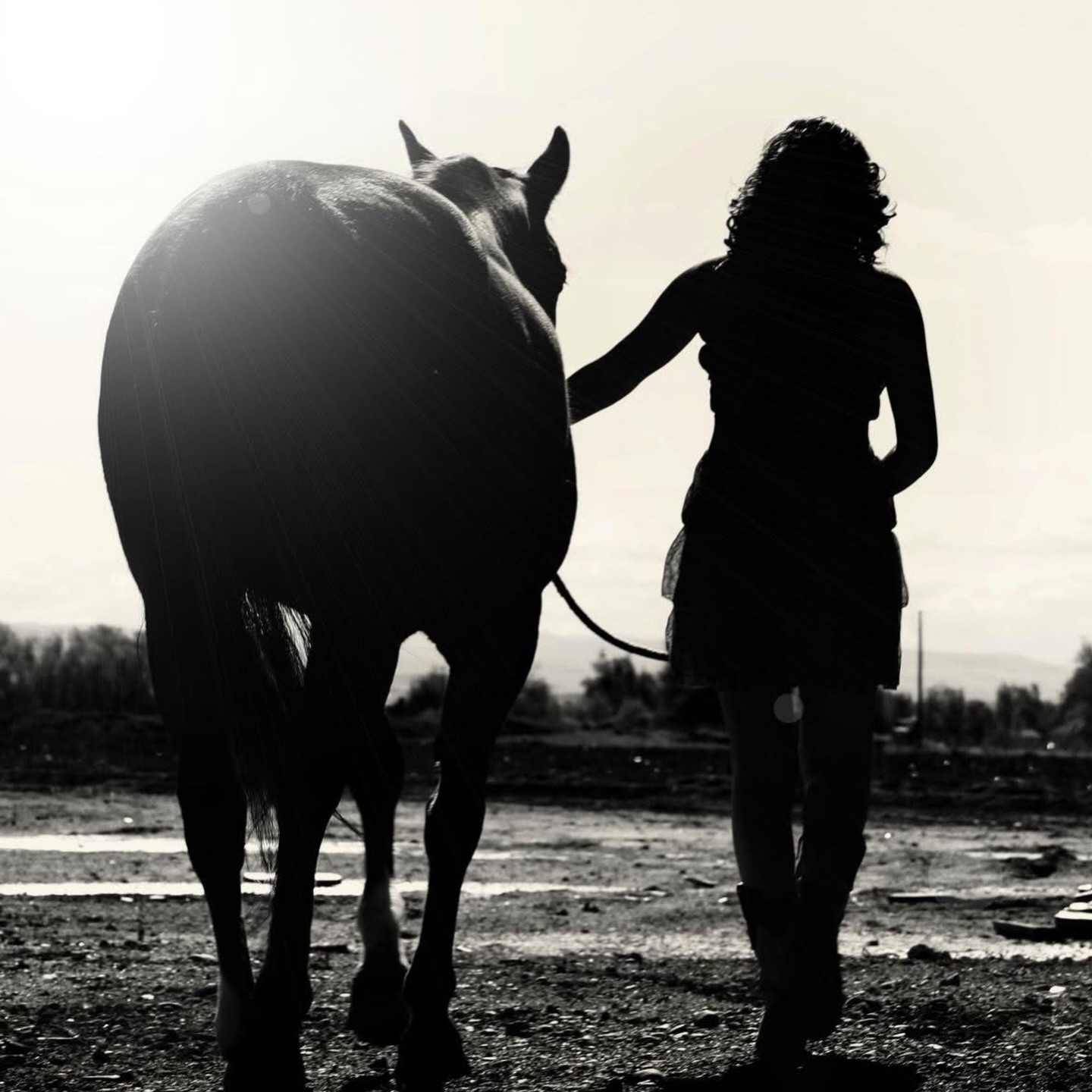 To my Tazmanian Devil, aka Taz
I always knew this day would come… but knowing never makes it easier. How do you ever wrap your head around losing your heart horse? The truth is, you don’t. You just learn to live with the space they leave behind.
And you, Tazzy Boy, left a space that can never be filled.
You were never just a horse to me. You were my heart horse. My secret keeper, the one who listened without judgment when I sat beside you and told you everything I was too afraid to say out loud. Through every stage of my life, you were there; steady, patient, and somehow always understanding more than words could ever explain.
You watched me grow. You carried me through chapters of my life that shaped who I am today. Through the good days and the hard ones, your quiet presence was always waiting for me.
There was something about you that only a heart horse has. A connection that can’t really be explained, only felt. You knew my heart, and I knew yours. And in so many ways, you helped hold mine together.
Losing you feels like losing a piece of my soul. But loving you was one of the greatest gifts of my life. Thank you for every ride, every moment spent, every lesson you taught me about patience, trust, and unconditional love.
You were my once-in-a-lifetime horse, you taught me how to be a better rider, you were my confidant, my partner, my little speed demon papered as Tazmanian Devil.
And no matter how much time passes… you will always be my heart horse.
I’ll carry you in my heart always, I’ll love you forever sweet boy 🩵