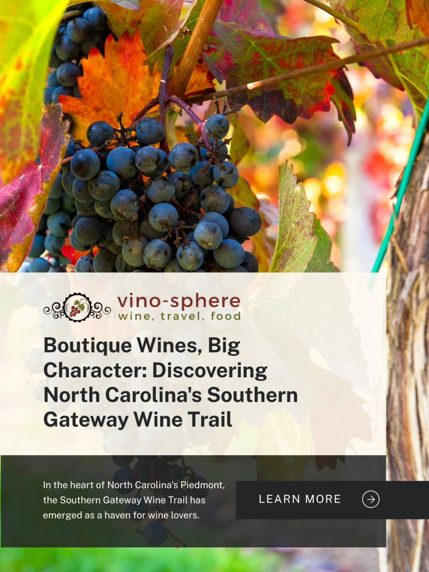 In case you missed it, our friends at @vino_sphere did an amazing write up on the Southern Gateway Wine Trail.
Read the full article via the linkinbio to see what all our neighboring vineyards have to offer. 🍷🫶
#ncwine #vineyardviews @ncwines @visitlexnc