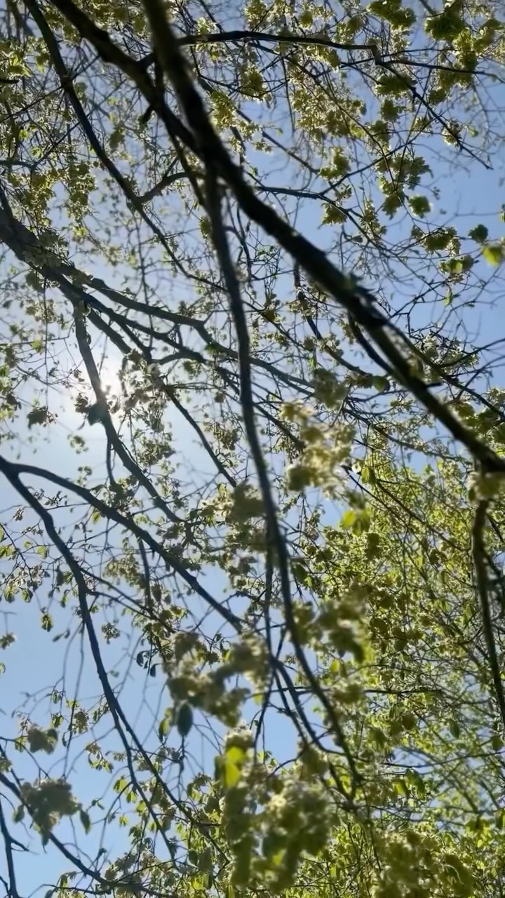 A photoshoot that feels like stepping away for a while 🌿