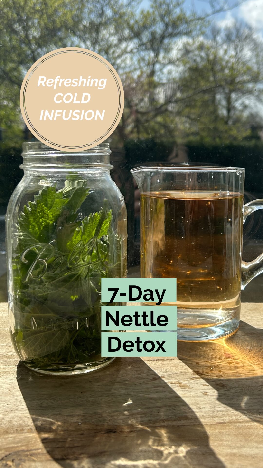 This detox is completely free and super effective!
Every spring I detox with a cold brew of fresh nettle leaves for 7 days. Yes, you can drink nettle tea as well, but cold brewing keeps all the nutrients intact and all the benefits get hours to infuse.
🌱 Spring is the best time to enjoy this natural remedy— nettles leaves are most potent right now.
BENEFITS
💚 Detox & digestion — supports kidney function and helps flush toxins
💚 Energy & fatigue — packed with iron, magnesium and vitamin C
But there’s more: Nettle is a natural antihistamine (supporting allergies and hay fever), can help with joint pain & arthritis (anti-inflammatory properties), skin clarity and blood sugar balance.
RECIPE
🧤 Pick a handful of fresh young nettle leaves (wear gloves!)
❗️ ONLY pick the top so the plant can keep growing
💧 Rinse well to get rid of dirt and bugs
🫙 Place in a jar of cold filtered water, cover with a lid to keep all nutrients in
🌙 Leave in the fridge overnight.
⏰Drink first thing in the morning
I make it fresh every day, but in the fridge you can keep it for 48 hours.
WHY 7 days?
(10 works great if you’re up for it!)
Herbal infusions work gradually, not overnight. Seven consecutive days gives our body time to respond. This supports our liver and kidneys in flushing out build up from winter and will stabilise our energy levels, while reducing inflammation at the same time. It’s more of a reset than a quick fix.
#nettle #naturalremedies #detox
#springdetox #energize
Drop a 💚 if you like more recipes like this, and cfollow me if you love living life naturally
detox