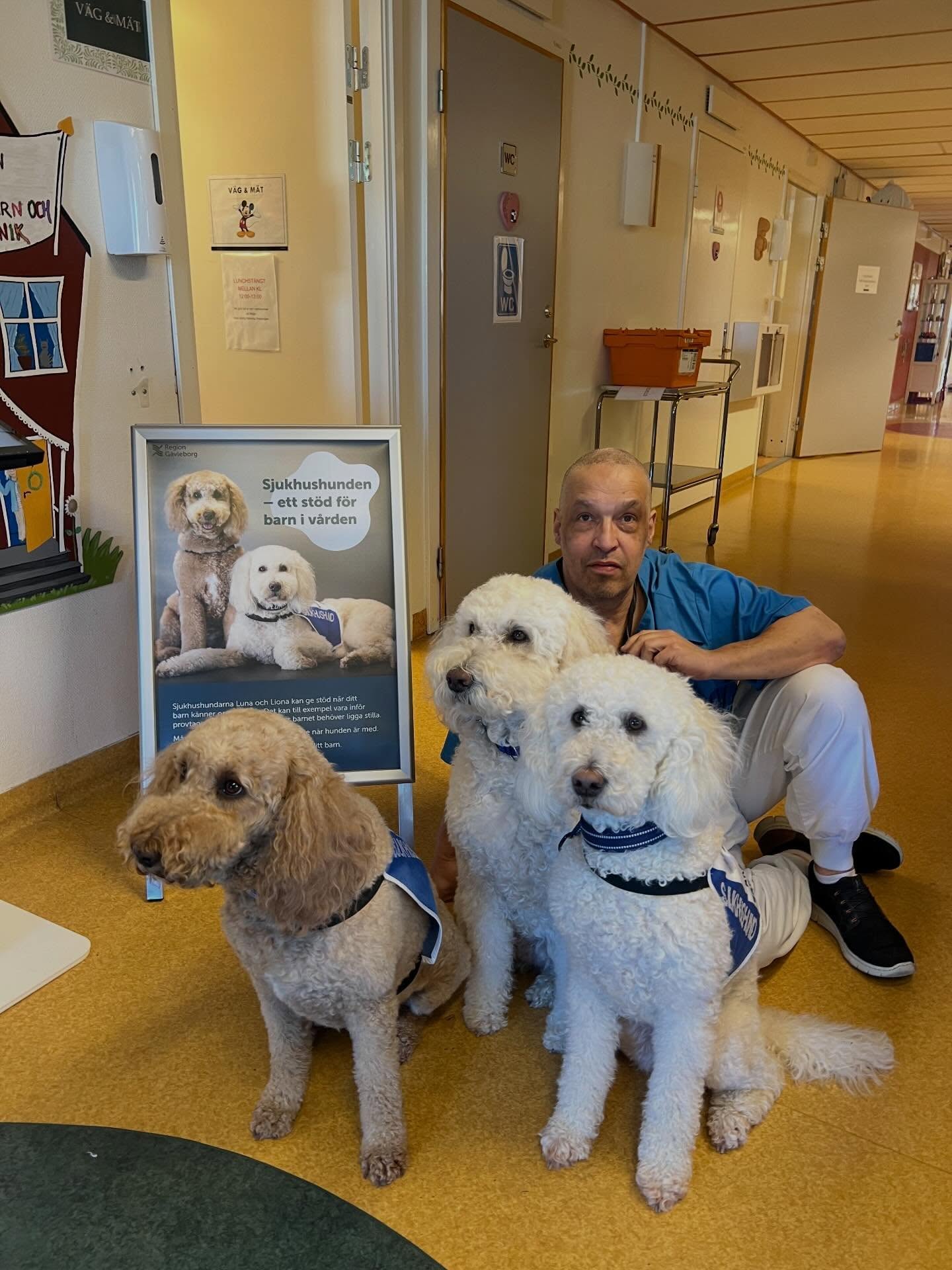 Sjukhushundarna® hjälper många barn på Hudiksvalls sjukhus (foto med samtycke)🐶💕 #sjukhus #hund #hospital #dog #hudiksvall
