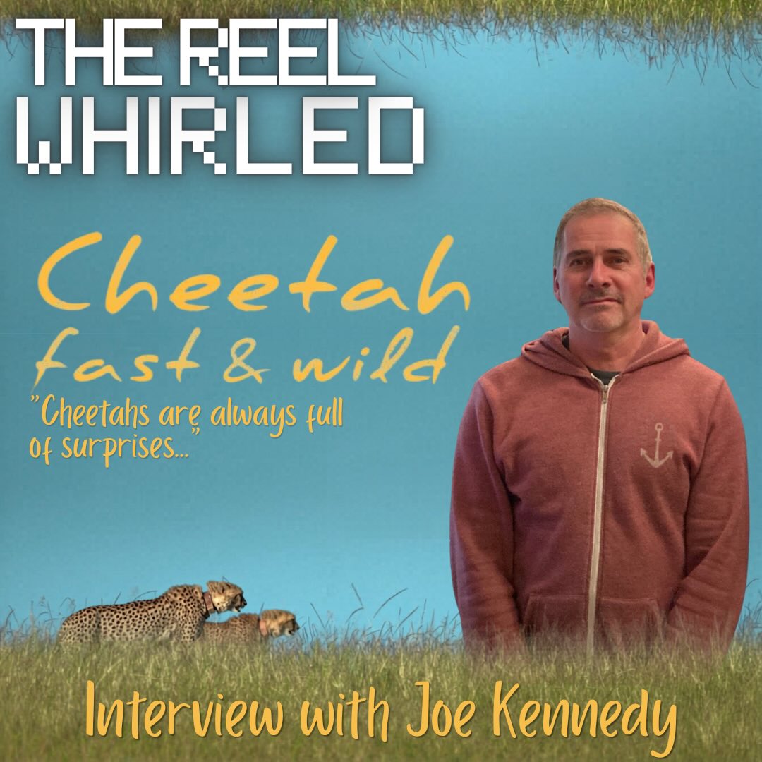 “There’s a moment in the filmmaking process where I say: ‘here’s the story, this is it’”
Miss last week’s episode of The Reel Whirled?
Tune in to Lily’s interview with wildlife filmmaker and UBC alum, Joe Kennedy, to hear about his new documentary, Cheetah Fast & Wild.
citr.ca/listen/the-reel-whirled/20260414-4