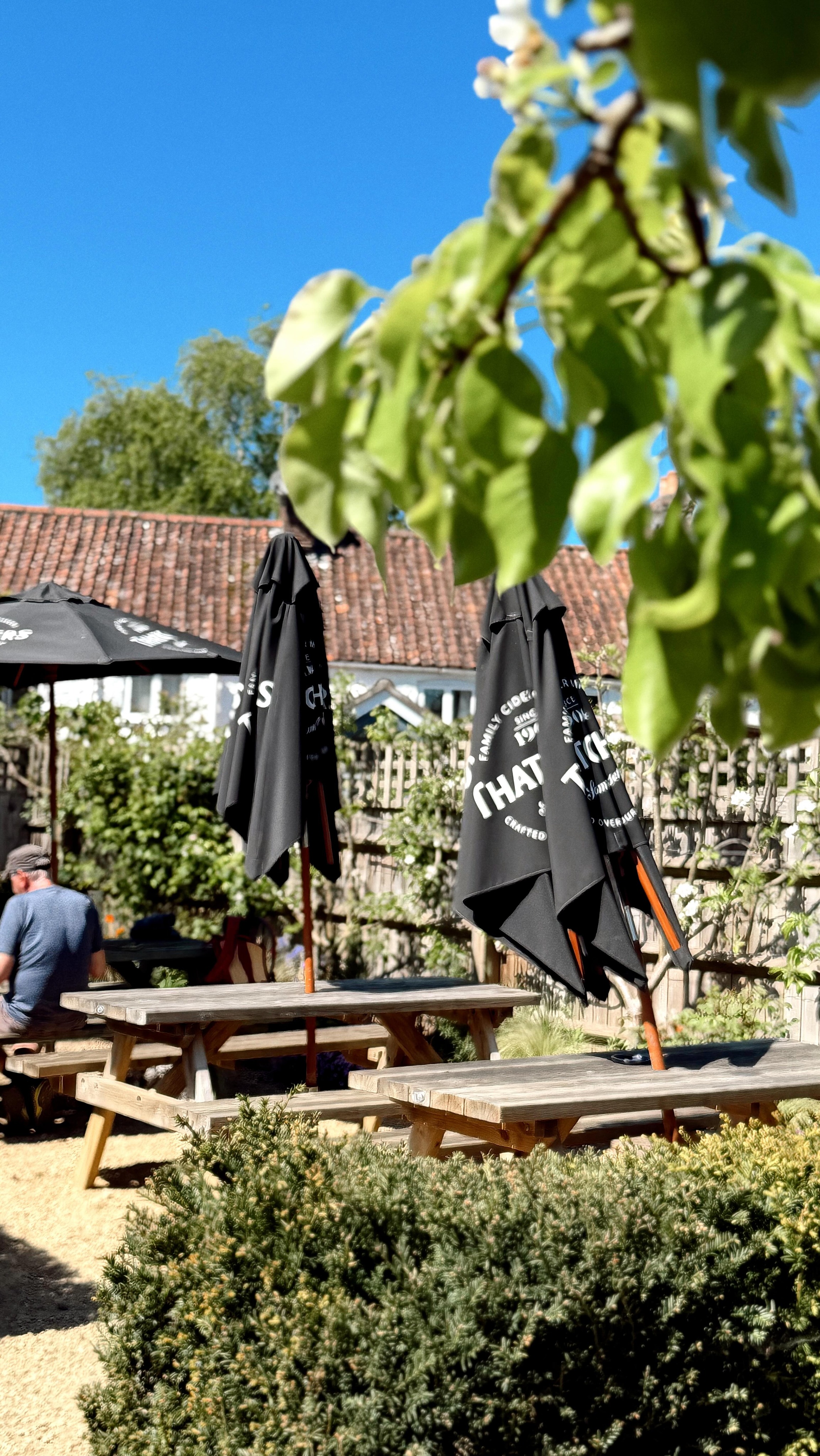 A pint at The Queens in the sun? Go on then 🍻