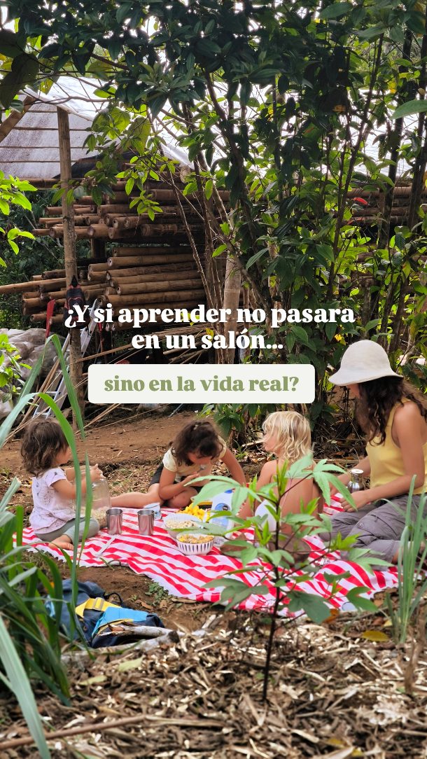 Más de 20 personas construyendo juntos…un compostaje, una huerta, una cocina de barro…pero sobre todo, un espacio de aprendizaje vivo.
.
Aquí, la educación no pasa en un salón, pasa en la tierra, en las manos, en la vecindad.
.
Y los niños no solo observan…
participan, crean y viven el proceso.
.
Tal vez no necesitamos nuevas escuelas…sino nuevas formas de aprender.
.
Ya empezamos el proyecto 'El Imaginario', un alternativa a la escolarización, en el Valle de San Blas. Si tienes experiencia o ideas en relación al aprendizaje infantil nos gustaría escuchar de ti!
......
More than 20 people building together… a compost system, a garden, a clay kitchen… but above all, a living space for learning.
.
Here, education doesn’t happen in a classroom, it happens with the soil, by the hands, amongst the neighbourhood.
.
And children don’t just observe…
they participate actively with creativity and play.
.
Maybe we don’t need to build new schools… but new ways of learning.
.
In the Valley of San Blas we've begun the project “El Imaginario,” an alternative to schooling. If you have experience or ideas related to children’s learning, we would love to hear from you!