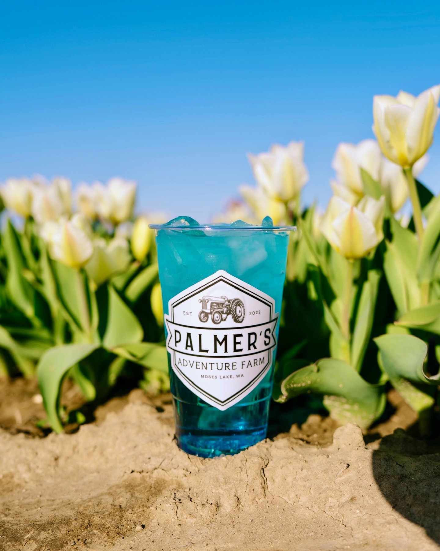 Need cute photos? Flower cuttings? A fun family outing? The perfect date? We are still mid tulip festival here at Palmer's Adventure Farm... join us this weekend 💛🌷🍦
💐 Inland Northwest Tulip Fest
📍Palmer's Adventure Farm / Moses Lake, WA
🗓️ Friday- Sunday
🎟️ Discounted tickets, hours, and additional information on our website: palmersadventurefarm.com