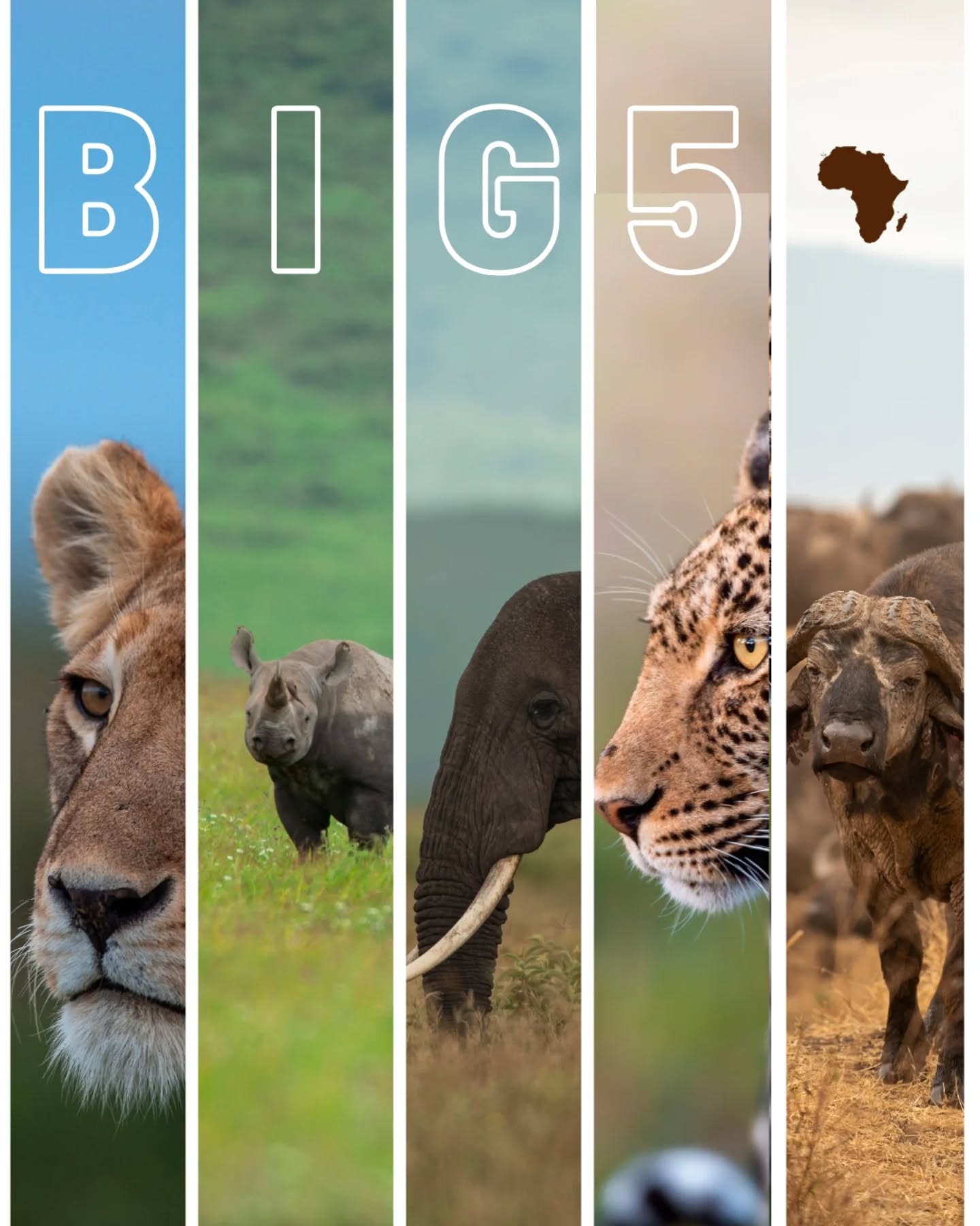 Experience the thrill of Africa’s Big Five with Gnade Safaris 🐘🦁🐆🐃🦏
From the roar of the lion to the silent power of the leopard — every moment is unforgettable.
📧 info@gnadesafaris.com
📲 WhatsApp: +255 793 832 959
#BigFiveSafari #GnadeSafaris #TanzaniaSafari #LuxurySafari #exploreafrica