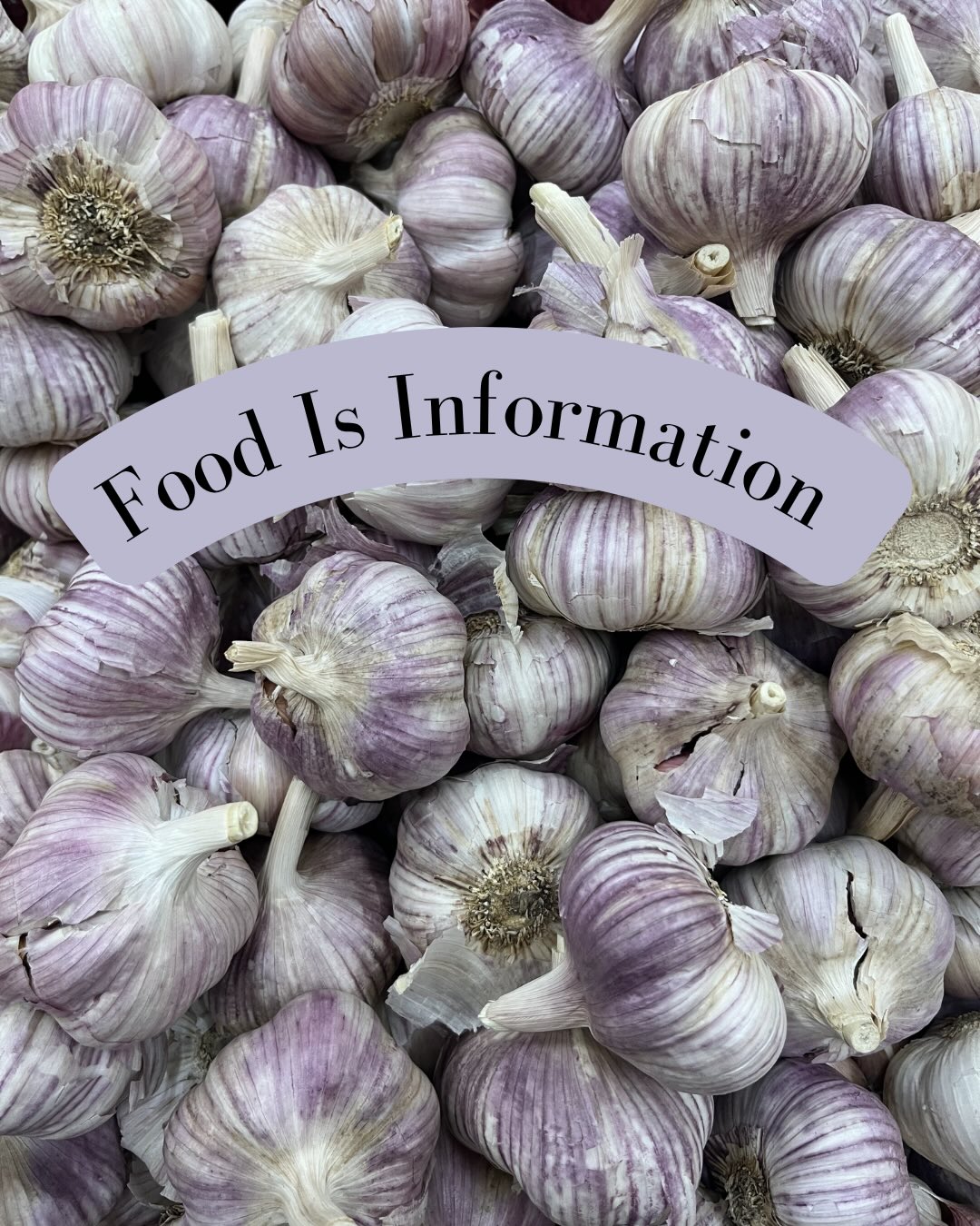 Get back to the basics of your macronutrients! Focus on meals, patterns, and routines ... think how does this meal support my body?