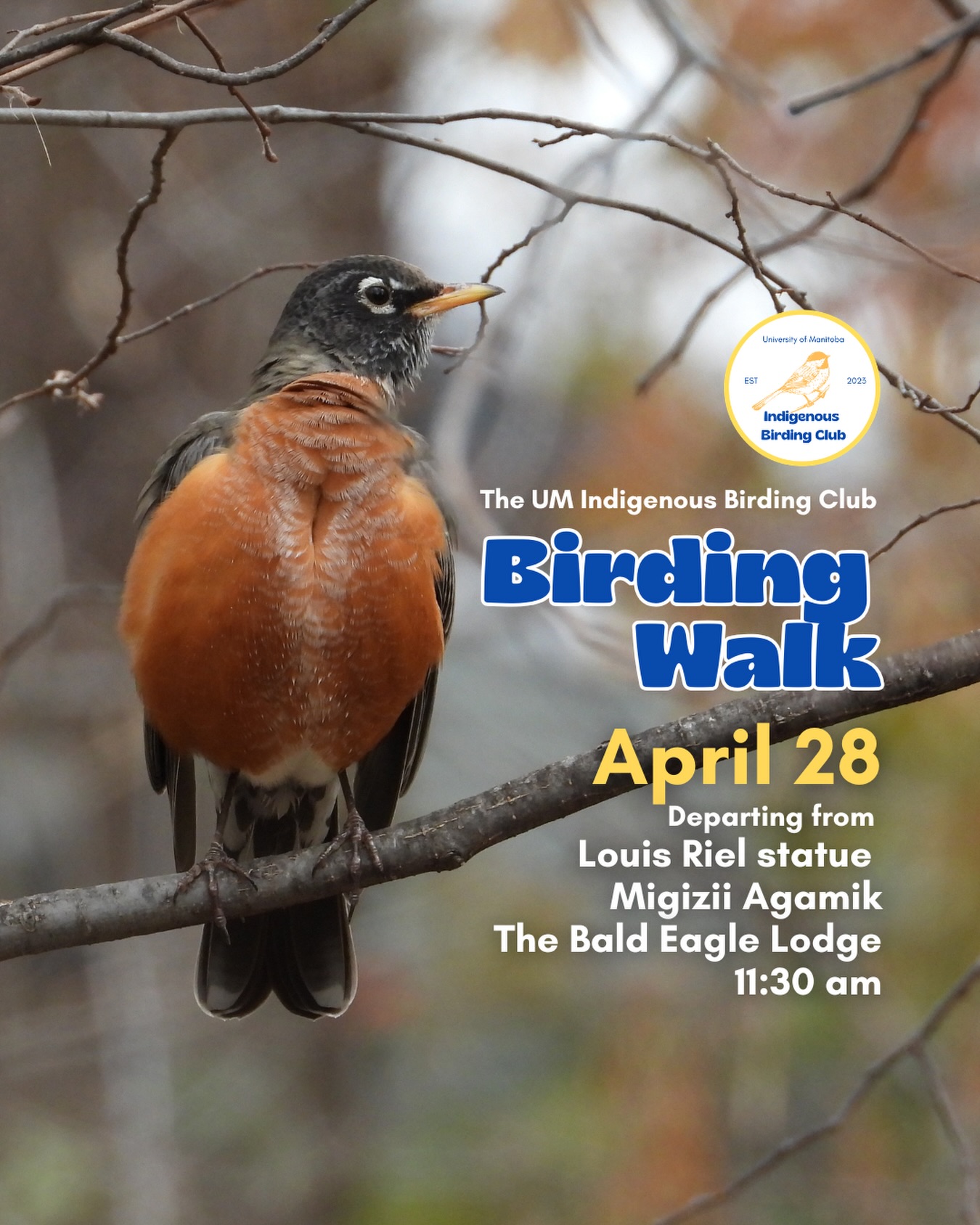Join us for a relaxed, 1.5-hour birding walk that begins at Migizii Agamik – Bald Eagle Lodge. We will gather at 11:20 a.m. by the Louis Riel statue, with the walk starting promptly at 11:30 a.m. The walk will take us to King’s Park, or another nearby location, at a leisurely pace, allowing us to enjoy our feathered relatives in the green spaces on and near campus.
These walks are open to BIPOC (Black, Indigenous, and People of Colour) folks and allies who share our belief that birding is for everyone, regardless of experience. Whether you’re new to birding or a seasoned enthusiast, we welcome you to join. Just dress for the weather and be sure to bring sunscreen and water. If you don’t have your own binoculars, we have some available to borrow.
Our walks are an opportunity to connect with nature, build community, and learn from one another in a relaxed and supportive environment. Feel free to participate at your own pace, there’s no need to stay with the group the entire time, and you’re welcome to come and go as you please.
Accessibility Information:
The walk covers a variety of paths, including pavement, grass, dirt, and gravel, with mostly flat terrain and a few gentle slopes.
Washrooms are available approximately halfway along the walk.
If you need assistance or have specific accessibility requirements, please let us know in advance so we can do our best to accommodate you.
Parking:
Please note there is NO free parking on campus M-F from 8:30 a.m. to 4:30 p.m. Parking is available in the Parkade and at metered spaces for a fee.
We look forward to seeing you there!
📷: @justinleerasmussen