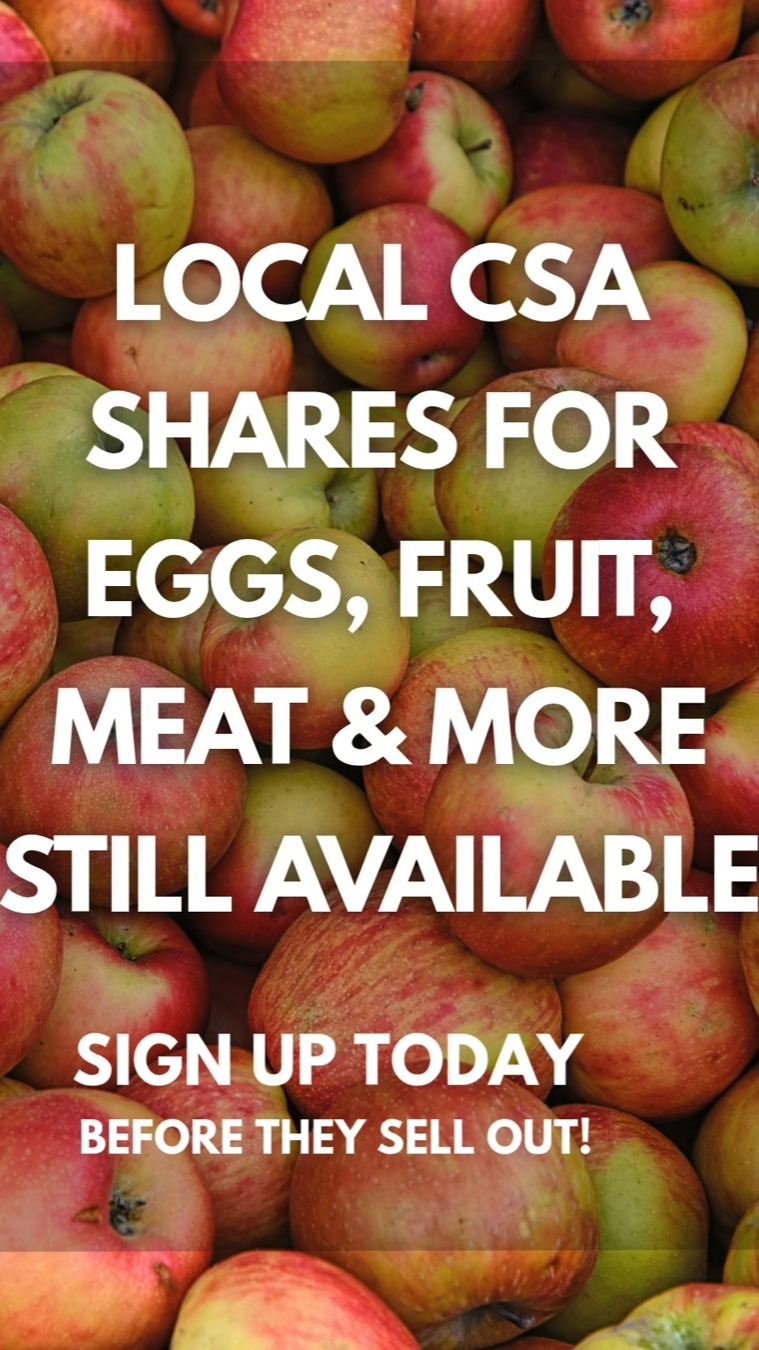 Did you know CSA isn’t just for vegetables?
There are still local shares available for eggs, fruit, meat, flowers, and more.
These farms still have non-vegetable CSA shares available this season:
@bee_easy_farmer- pasture-raised chicken + egg shares
@queenerfarm- fruit shares
@wintergreenbeef- grass-fed beef shares
@hearth.and.hollow- plant starts
@homeorchardeducationcenter - fruit shares
Whether you’re looking for weekly eggs, locally raised meat, fruit through the season, or plants for your own garden, there are still shares available.
👉 Find your farm + sign up: link in bio
#portlandcsa #oregoncsa #eatlocalpdx #pnwcsa #supportlocalfarms #communitysupportedagriculture #pastureraised #localfood #knowyourfarmer