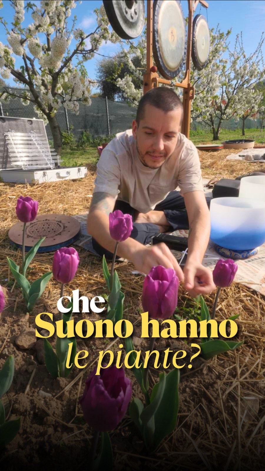 Ascolta cosa succede quando una pianta “SUONA”
#filippopigaiani #bagnodisuoni #campanetibetane #suonoterapia #instruopocketscion