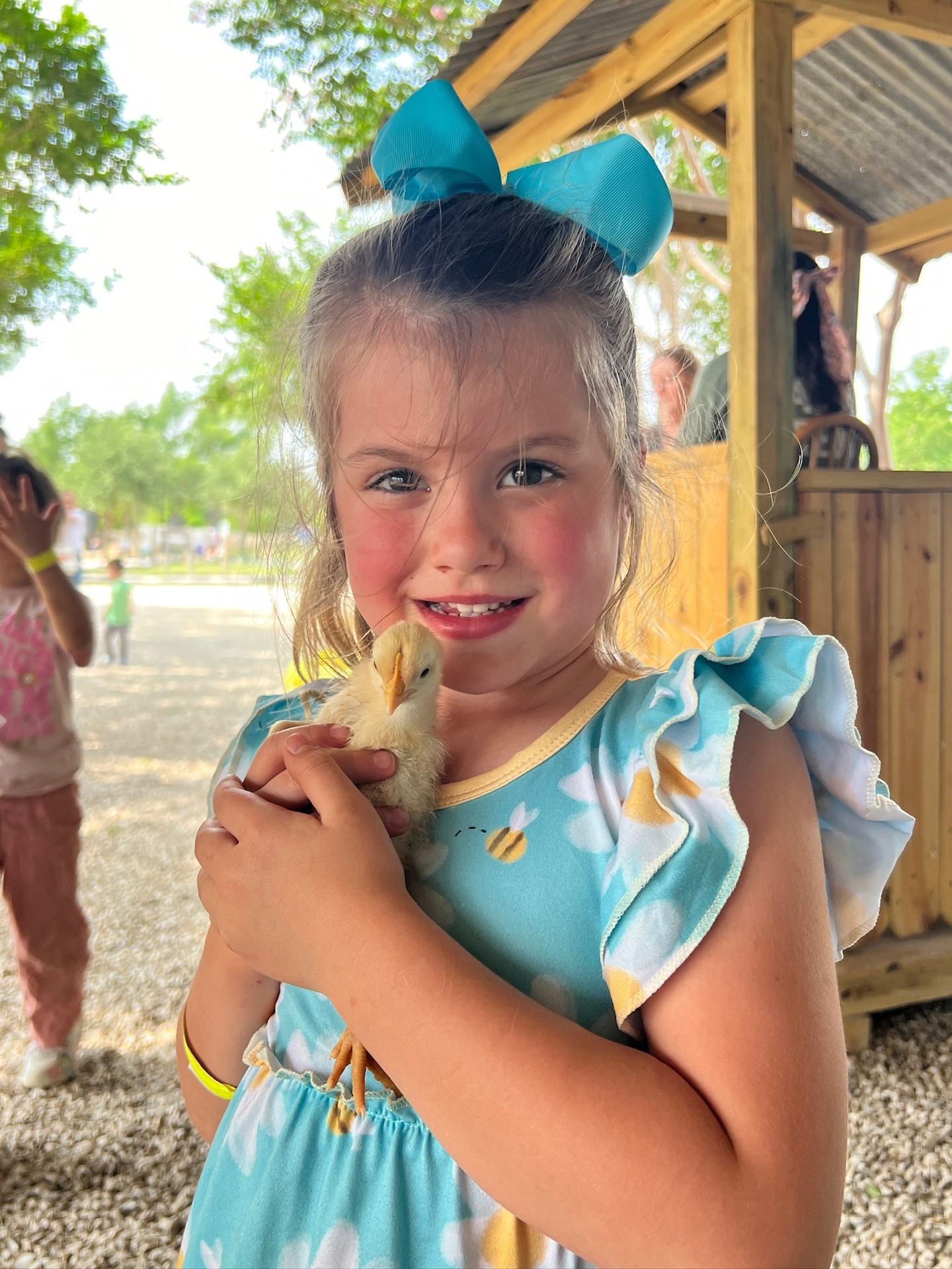 Calling all homeschool families! Our Spring homeschool day is May 12! Here's what to expect... 🔍🐷🐥🚜
Educational rotations including lifecycle of the chicken and baby chicks, music lesson, and hayride will be available for your leisure from 10am-12pm. After lunch, the giant jump pad, playground, shaved ice, and gift shop will be open. Come explore, learn, play, and connect with other families... or just our farm animal friends 🐮🤸♂️
🕘 10am-2pm / Opening at 9am to purchase tickets at the gate / Tickets sold at gate only
🎟️ Admission is required for ages 3 & up
🥪 Bring your own lunch or purchase one from us / Options include a chicken salad croissant sandwich, pulled pork sandwich, or a ham and cheese panini- all served with chips
Visit our website for more details and to learn more about Devine Acres Farm: devineacresfarm.com/field-trips
📍Located in at Devine Acres Farm, just outside of San Antonio!