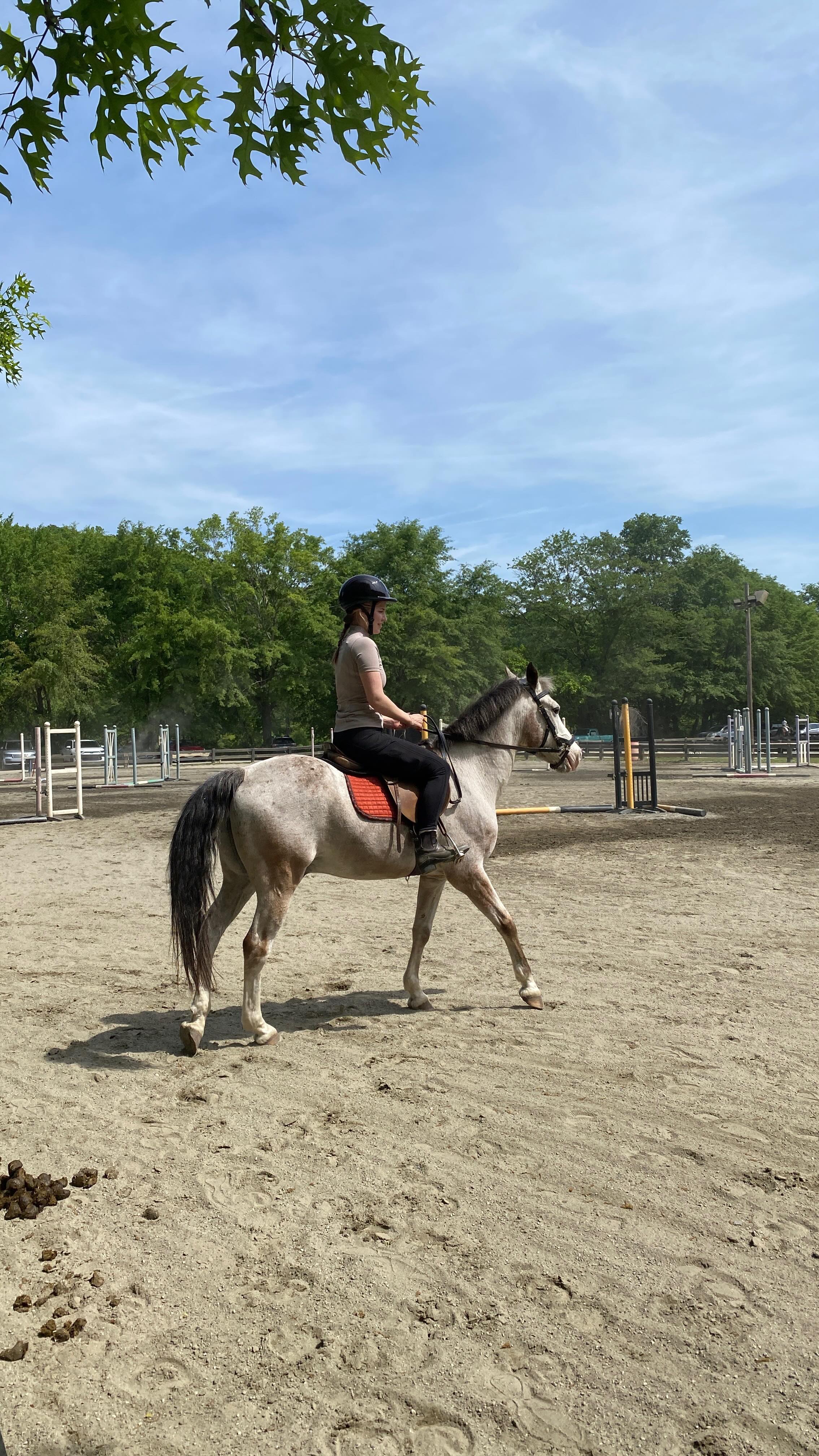 When I was a kid I wanted to be a magician for a few days. I guess in a way I became one 🪄
Current #wip is a life size watercolor painting of Pumba the pony that I’ve been riding on the weekends. I’m literally obsessed with him.
#opticalillusion #watercolor #watercolorpainting #poniesofinstagram
