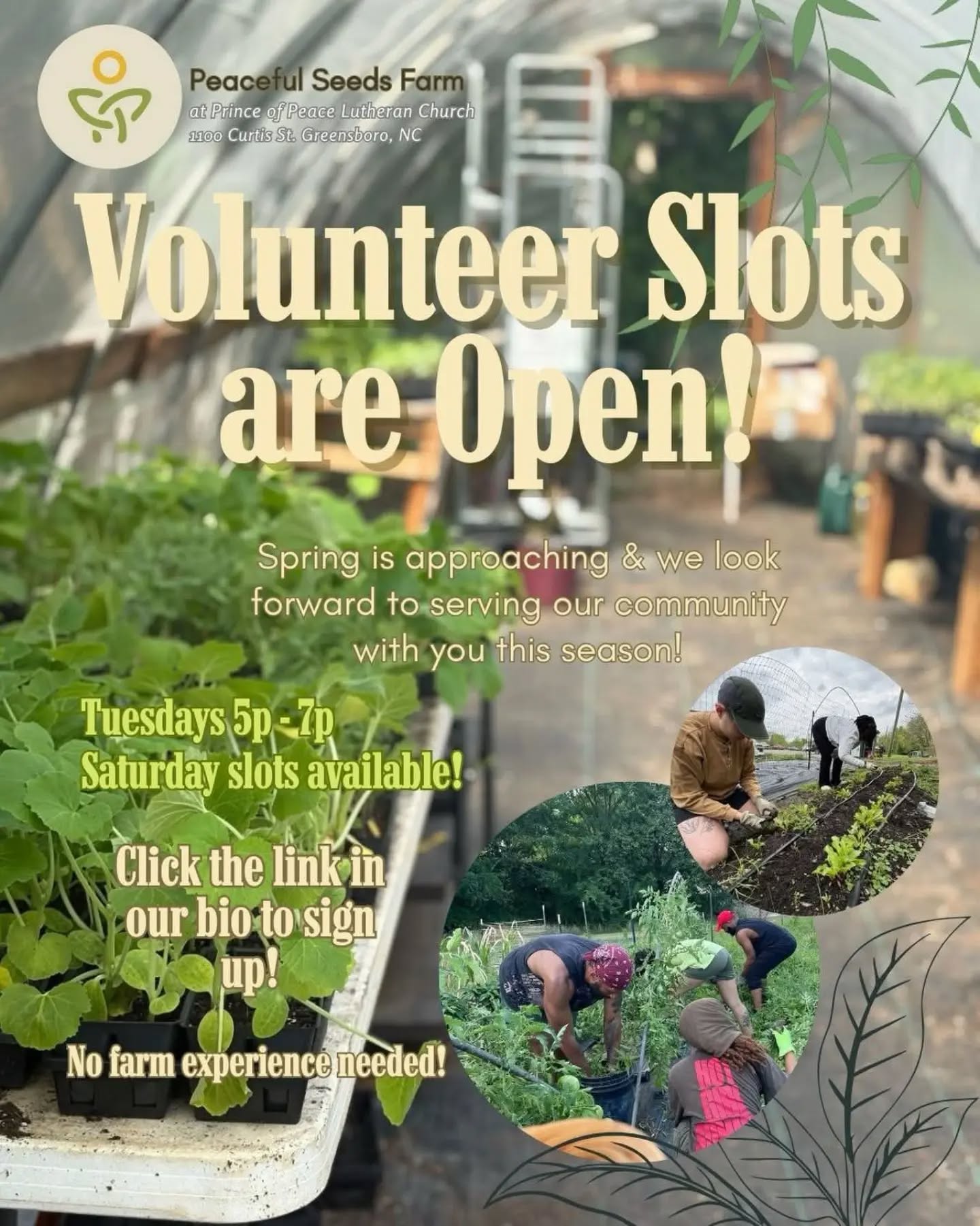 #EarthDay and always, we support @peacefulseedsfarm Peaceful Seeds of Warnersville Community Farm - Urban Farm on the campus of Prince of Peace.
Advocating for equitable land use for the historic Warnersville Community through Ag education and mutual aid.
https://www.instagram.com/peacefulseedsfarm
https://www.facebook.com/PeacefulSeedsFarm
Sign up & more info: https://linktr.ee/PeacefulSeedsofWarnersville