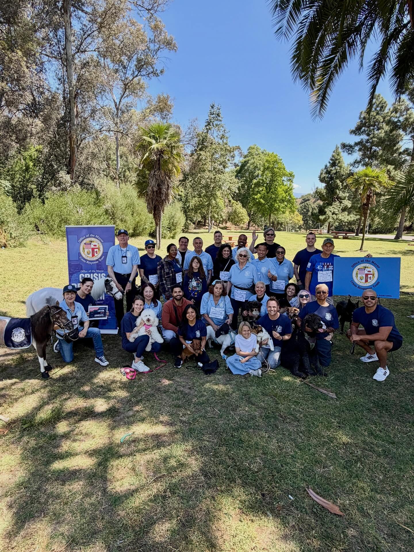 Volunteers from the @crt_lamayor Crisis Response Team gathered for a 5K in solidarity for N0VA, the National Organization for Victims Advocacy #communityinmotion #uniteforvictimsrights #ncvrw2026 #minitherapyhorses #horse #horses @equusfoundation @cedarssinai @ucla_pac @shriners @lafdfoundation @losangelesfiredepartment @911lapd @platinumperformance @easycareinc @