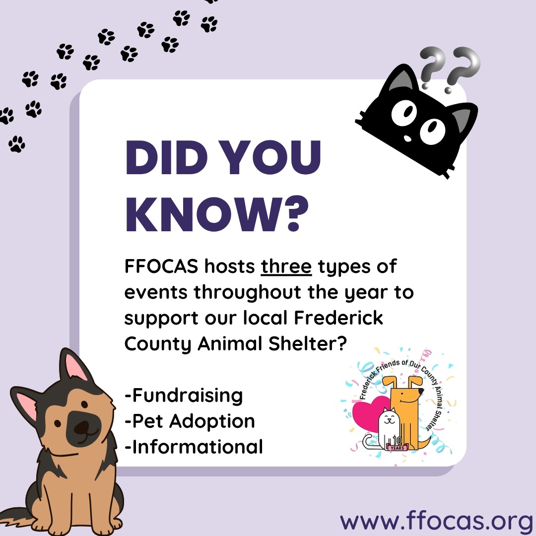 FFOCAS Friday Fact! We love raising money for the medical bills and care for the pets at @fredcoanimalshelter supporting our pet community, educating the community about our missions and how they can help, helping the pets at @fredcoanimalshelter get adopted as well as the kitties in our Cats with Character program at ffocas.org!
Mark your calendars for our next event centered around adoption and fashion! 6/10 at 6:00pm at @warehousecinemasfrdk! More information coming your way on May 1st!
#helpingfrederick #helplocal #localpets #petsarefamiliy #education #adoption #fundraising #helpinglocalpets #frederickmd #frederickpets #frederickmdpets