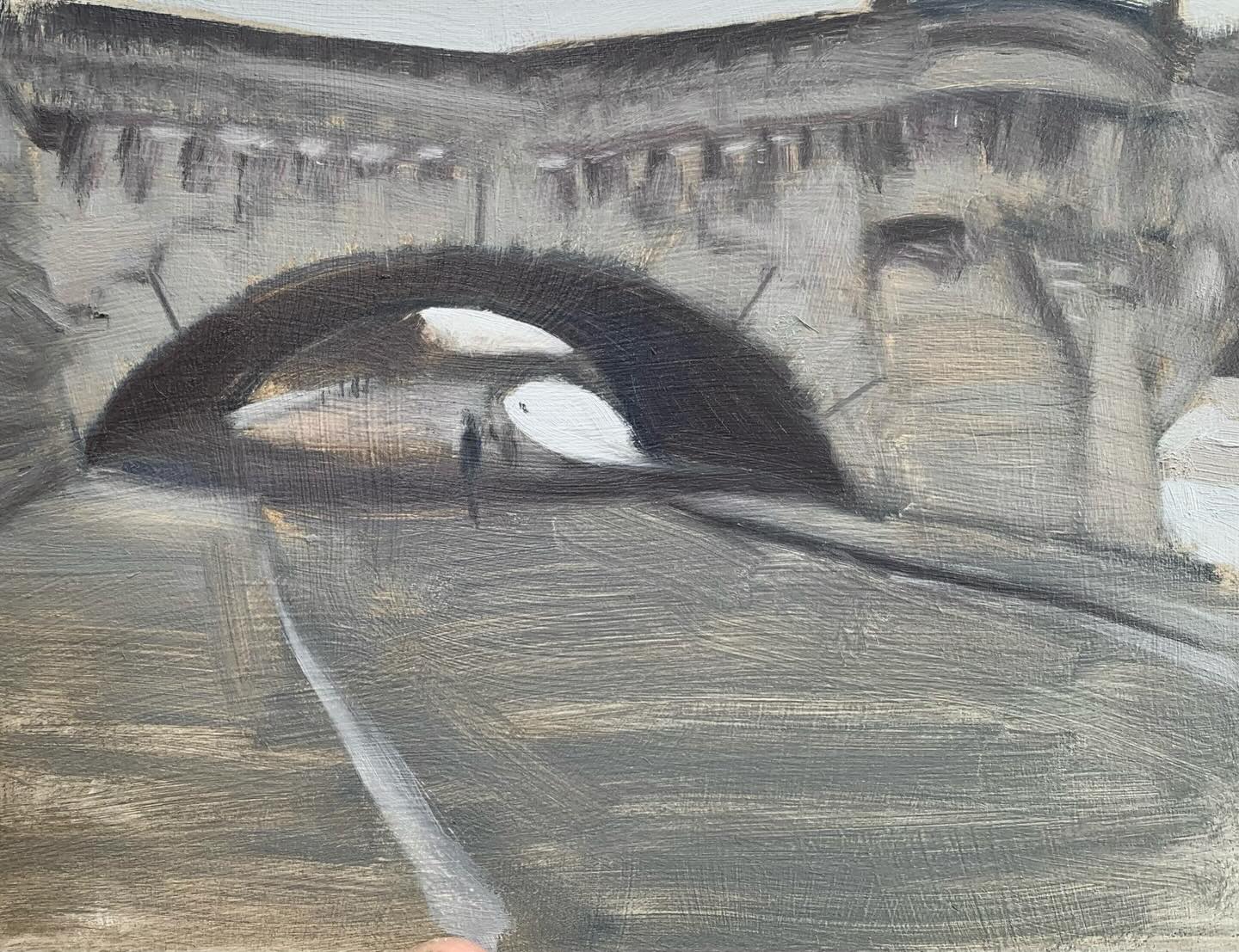 Paris does good bridges. This one has nice arches and handsome piers.
#riverseine #paris #pleinair #oilpainting
@royalinstituteofoilpainters