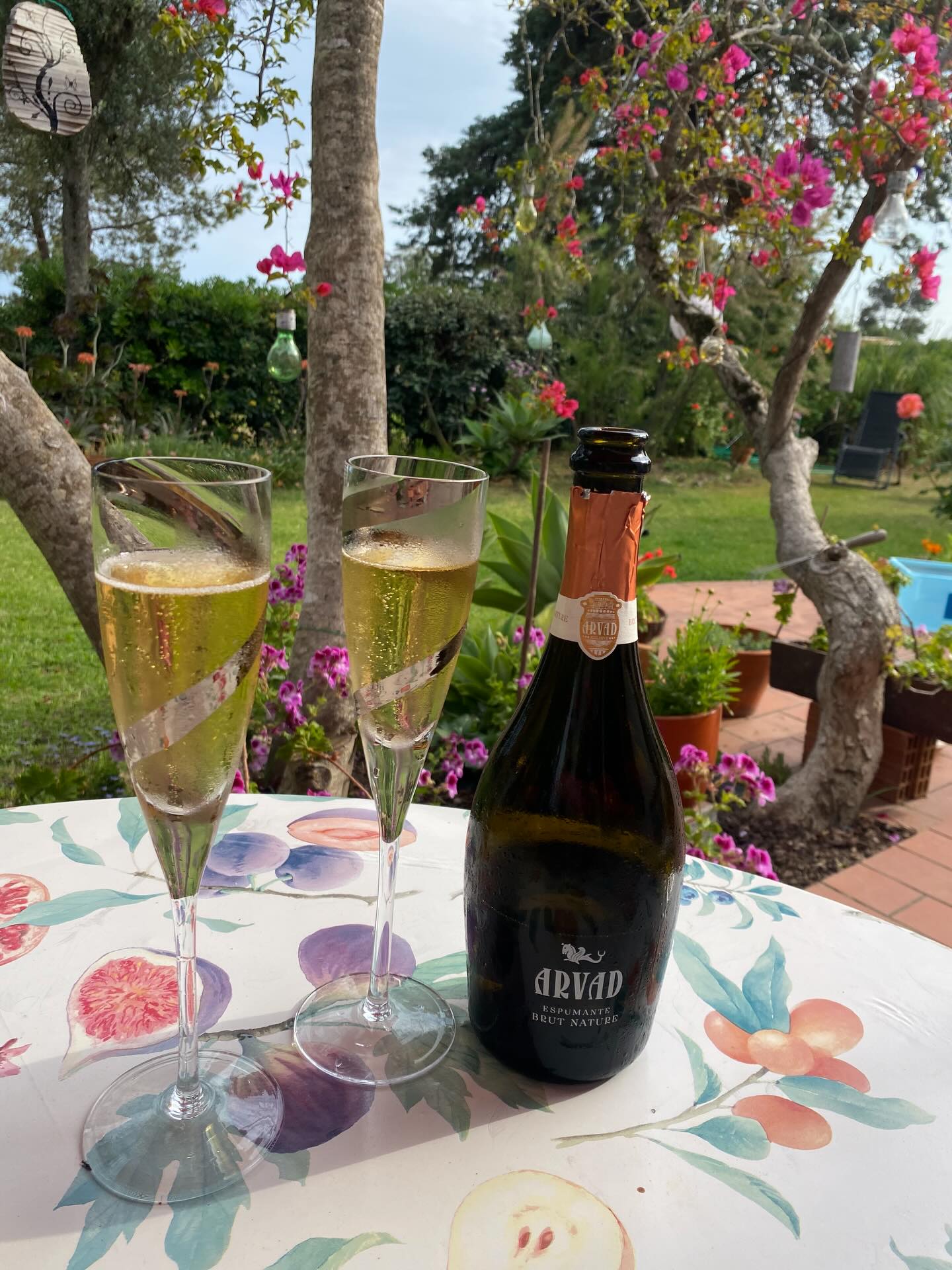 Birthday bubbles 🥂 🍾 from my gorgeous friend Sara 💥🌸💕🥳💜
