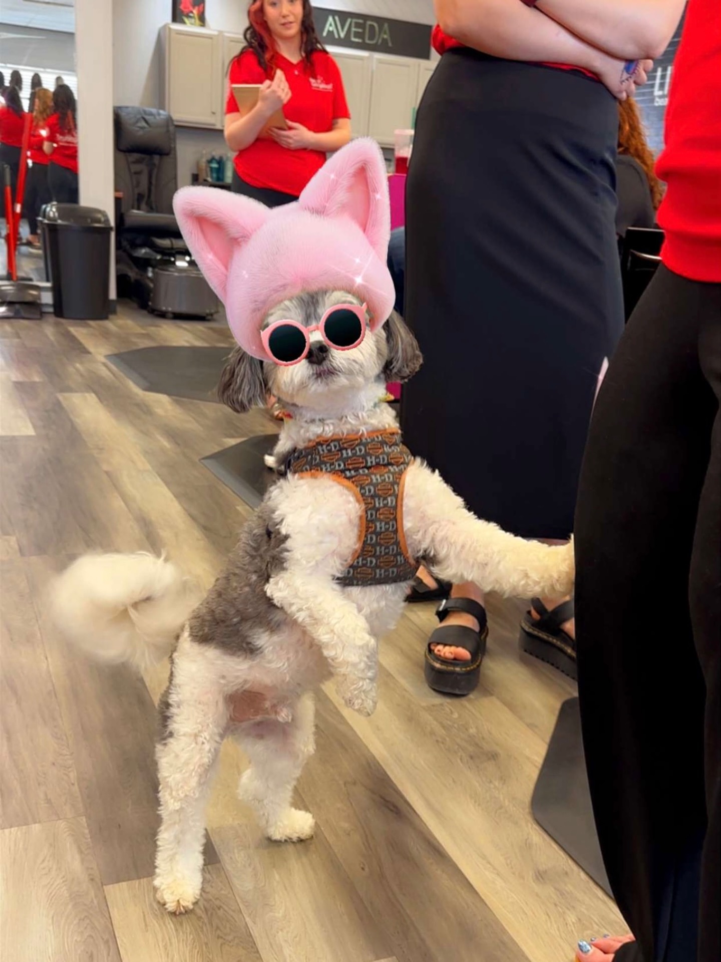 The Chaseroo on a @hellogorgeous_of_hope makeover day. When one of his peeps gets a makeover he has to participate!