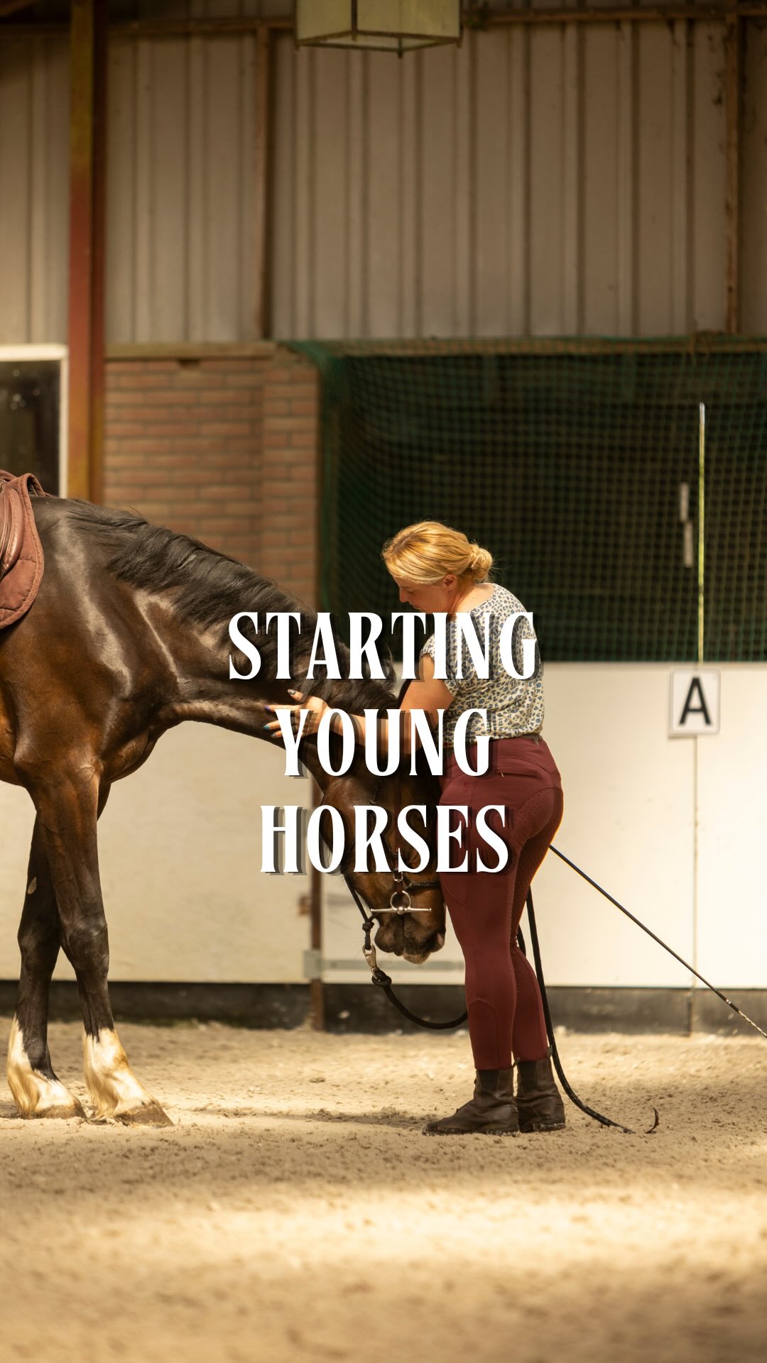 The way you start a young horse shapes their entire future.
Want to learn how to do it with patience, clarity, and real leadership?
Comment “ START “👇🏻
#horsemanship #horsemanshiptraining #horsemanshipacademy #hjmmethod #paard