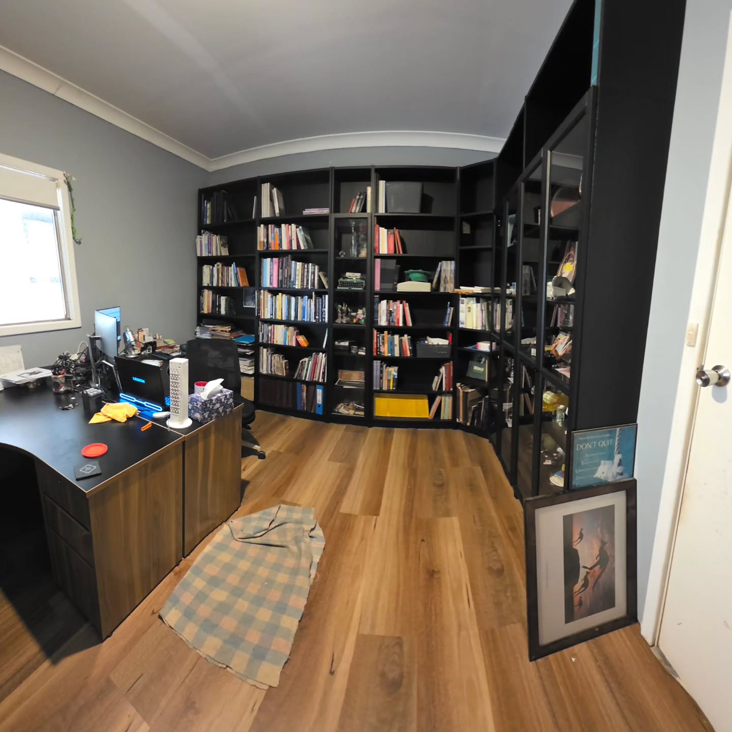 Almost complete! I have quit the selection of teacups, so I am thinking of getting some laminate display cases and having them up the top. The blanket is for the camera shy puppy.