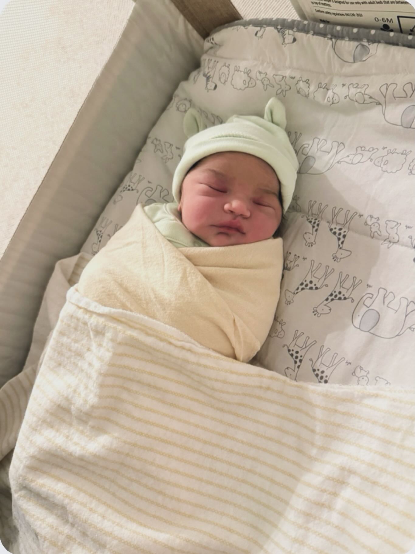 Welcoming this sweet little lady into our crew! Your mom is so strong, we are thrilled to have gotten to support her in bringing you earthside with such courage and grace. What a beautiful beginning to your story.