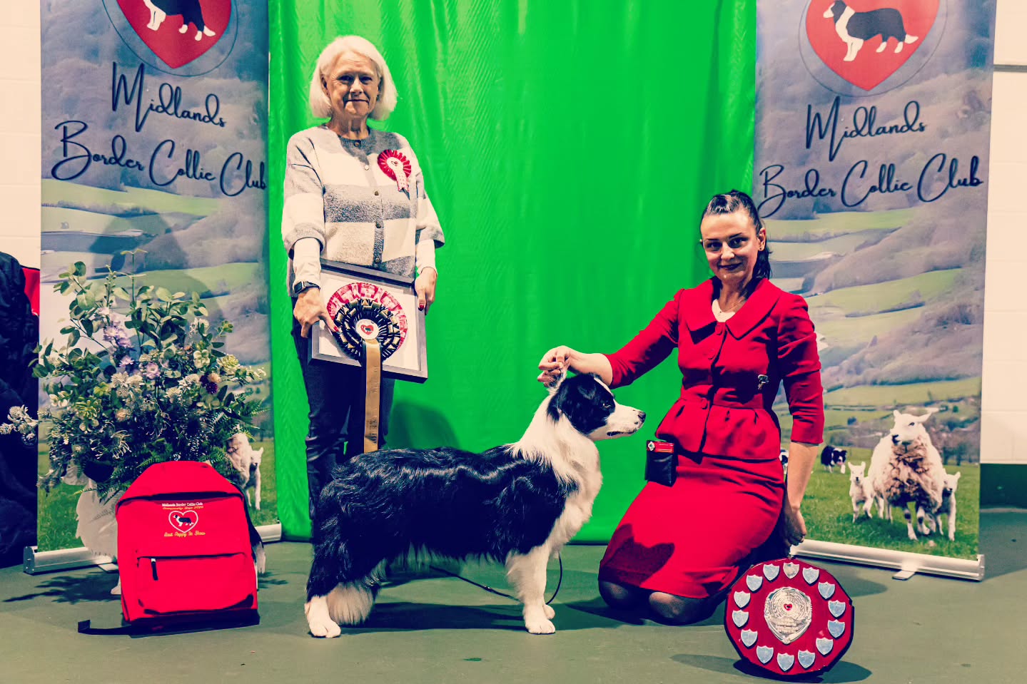 MIDLANDS BORDER COLLIE CLUB 🇬🇧
Championship Show
Judge: Breed specialist Ali Stenhouse
Critique Posted!
PUPPY BITCH (6)
1 UNLEASHED BORDERS DREESS TO IMPRESS (ATC)
9 months b/w. I loved her. She has everything in the right place. Feminine head, correct front, and beautiful lay of shoulder. Showed her lovely shape both standing and moving. Moved so soundly using her short strong hocks with great effect. Holds both her head and tail low when moving, which completes the picture. Best Puppy Bitch and BEST PUPPY IN SHOW
Thank you for thinking so highly of our girl <3 Ill never forget the wonderful compliment! I promise to hold her very tightly 😁
Thank you to the wonderful club for a fantastic show, and for all the gifts, rosettes, and the beautiful plaque. We look forward to returning next year to pass it on!
Sponsored by @eukanuba_dogfood
@fokiapetcy 🎀
#bordercollie #puppy #cyprus #bestinshow