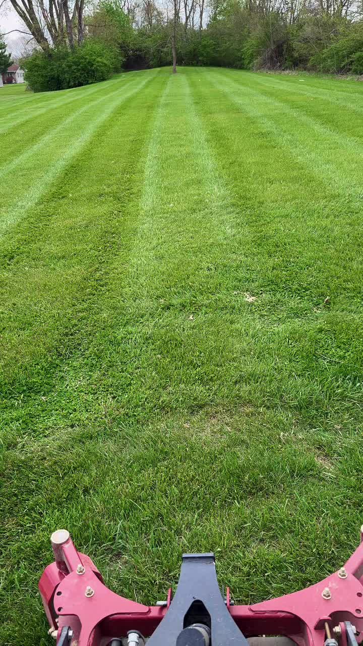 Spring grass…let’s go!!