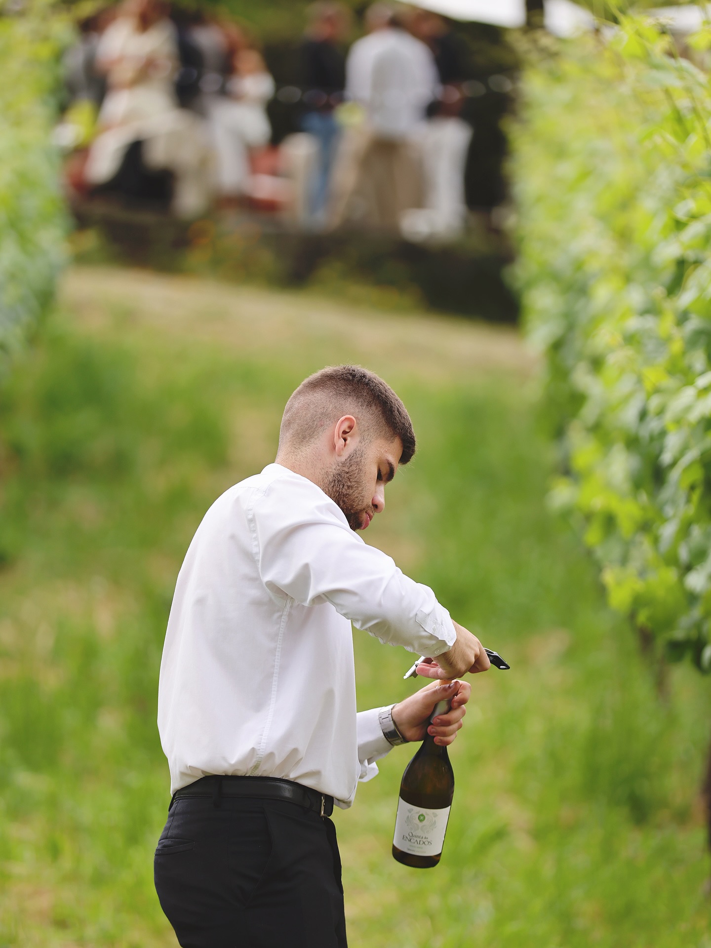 Abrir uma garrafa de vinho é o início de um ritual: sentir aromas, apreciar o cuidado de quem o produziu e preparar os convidados a viver e partilhar um momento especial.🍷
Quem daqui costuma ser o responsável por abrir o vinho nas refeições ou nas celebrações?
__
EN
Opening a bottle of wine is the beginning of a ritual: sensing the aromas, appreciating the care of those who produced it, and preparing guests to live and share a special moment.
Who here is usually responsible for opening the wine during meals or celebrations? 🍷✨
#QuintaDosEncados #RegiaoDemarcadaDosVinhosVerdes #AbrirUmaGarrafaDeVinho #OpenaABottleOfWine