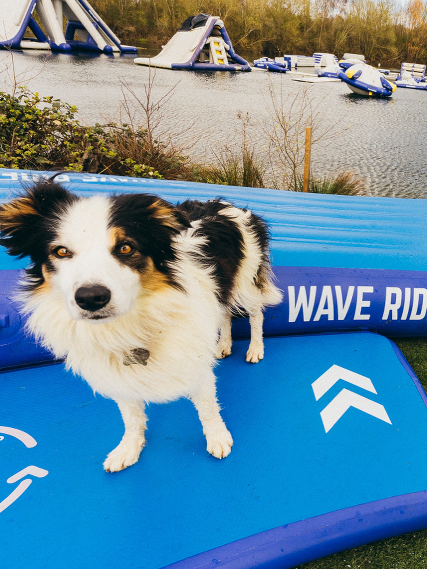 Day in the life building @unionaquaparks at @springlakeswatersports ⚡