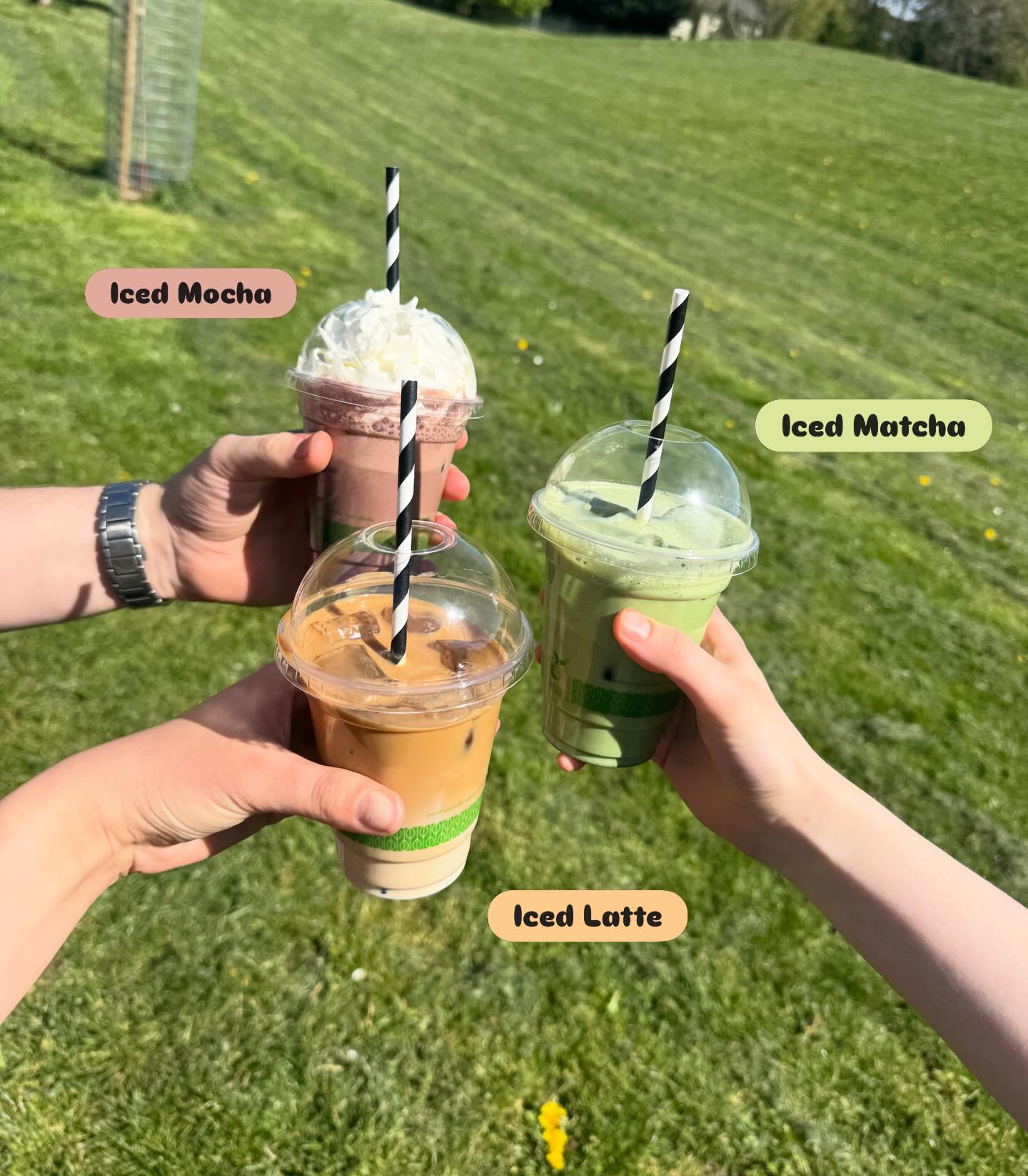 What could be better for your walk around the park? ☀️🧋🌱
All of our iced drinks can be made with your choice of:
🥛 Whole milk
🥛Skinny milk
🌾 Oat
🌱 Soya
🥥 Coconut
And keep your eyes peeled… 👀
We’ve got some exciting new iced drinks joining the menu very soon! ✨