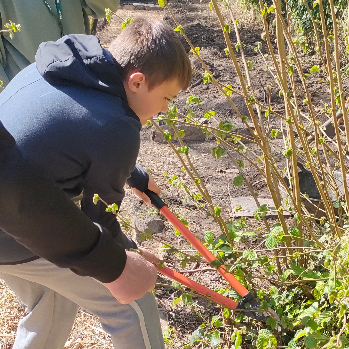 Purposeful education and green skills.
Harvesting hazel and weaving to create boundaries for the Hugel beds
#moortolife #permaculture #greenskills #outdooreducation #horticulture