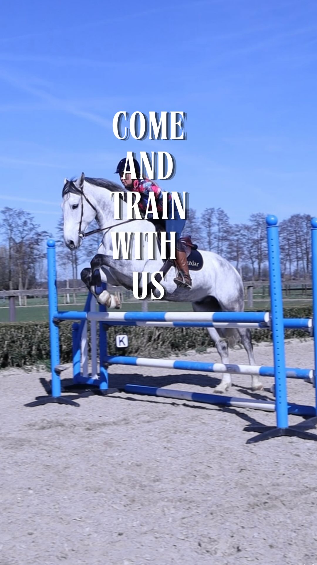 Come and join us for the training👀
#horsemanship #showjumping #equestrianlife #horsemanshiptraining #hjmmethod