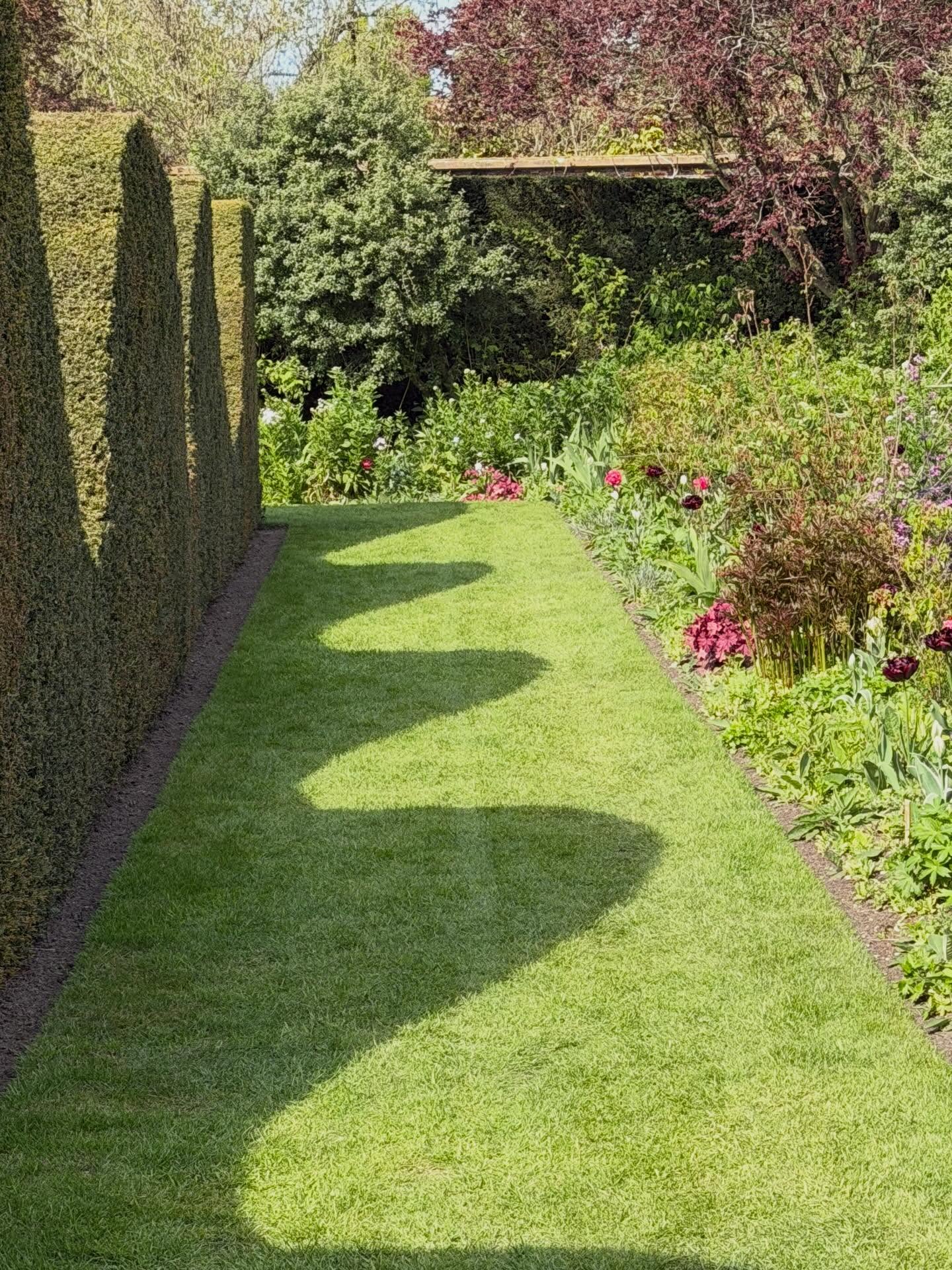 Wavy shadows in the garden today- always love this