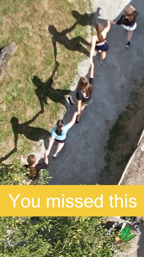 You missed it!
#NoNameClub #YouthClub #OutdoorDay #YouthIreland #community