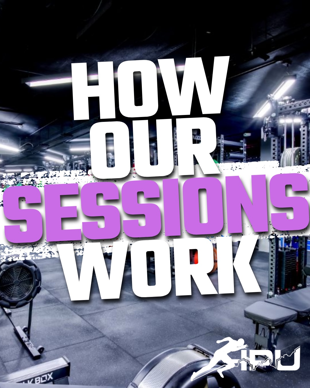 Not fully sure how we operate or how our training works? Or are on the fence about getting started?
Have a look at how we structure our week, how the training days look and what the main emphasis is!
Everyone aims to do 2-3 sessions a week minimum and can go right up to 6 if you’d like!
With a stacked timetable of sessions to choose from 😎