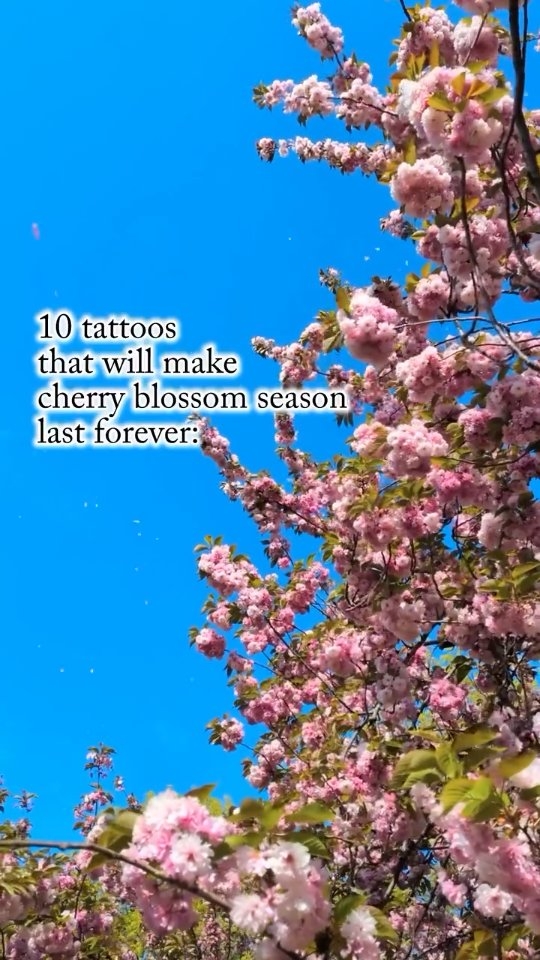 #10 is the most literal one 🌸 I make tattoos for those of us who never want cherry blossom season to end 🩷 These designs are all currently available! Which one is your favorite?
I'm a girly tattoo artist 🩷 Currently booking:
🌸 NYC thru June
🌸 Bay area CA May 8~11
Fill out my form to book with me!