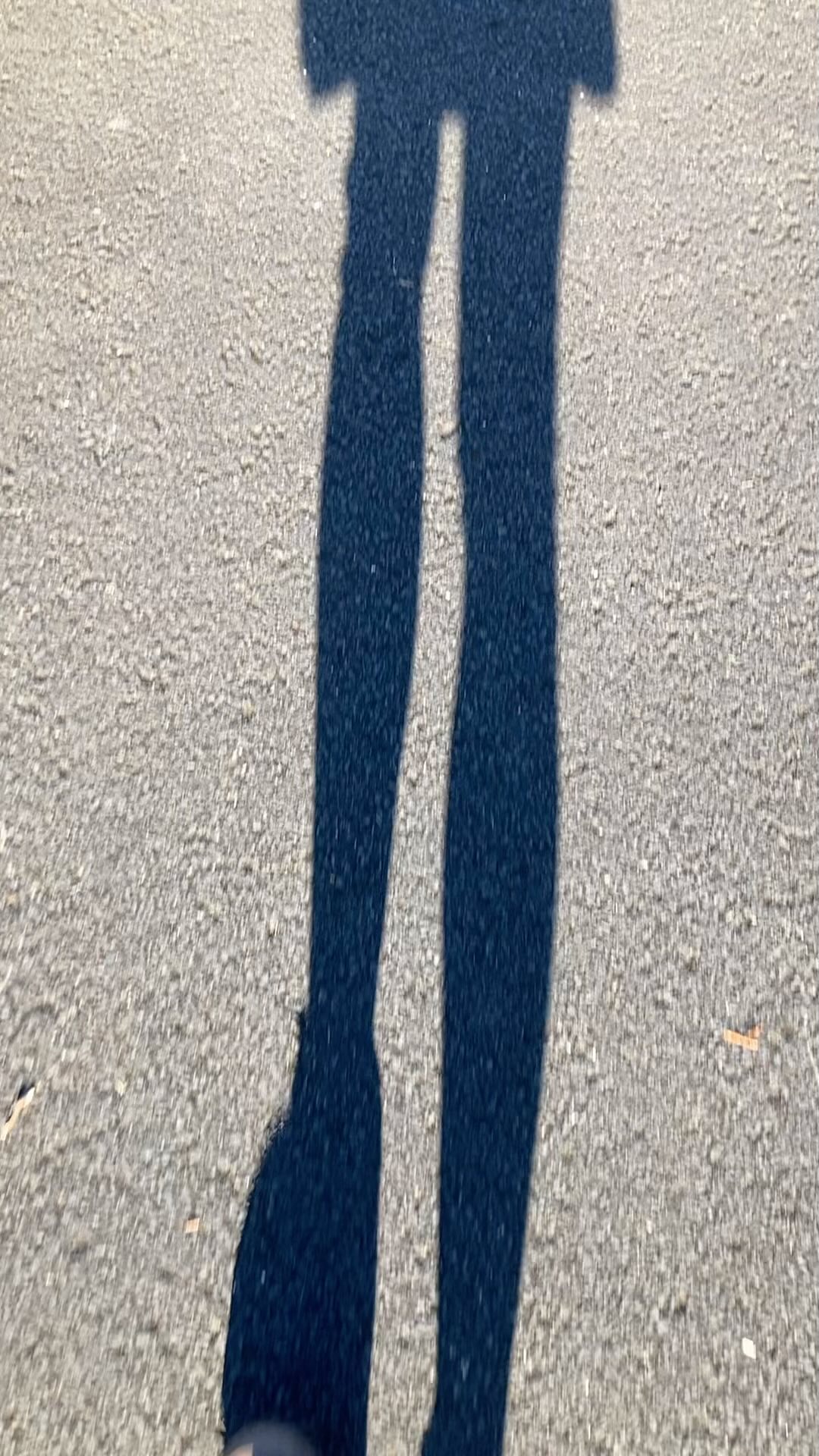 Out stomping with the birds early this gorgeous morning ☀️🚶♀️🚶♀️🚶♀️Only 2 days to the Glasgow Kiltwalk, Sunday 26 April, 22.7 miles! Me and my best buddies and Team Brownings are walking in memory of Matt Short and fundraising for Ayrshire Cancer Support ❤️ please consider making a wee donation at:- https://www.justgiving.com/page/leona-stewart-5?utm_medium=FR&utm_source=CL&utm_campaign=lc_frp_share_transaction_fundraiser_page_donation_received_-_nth_donation @kiltwalk @browningsthebakers @ayrshirecs #everypennycounts #kiltwalk #ayrshirecancersupport #fundraising #thesebootsweremadeforwalking #amigos